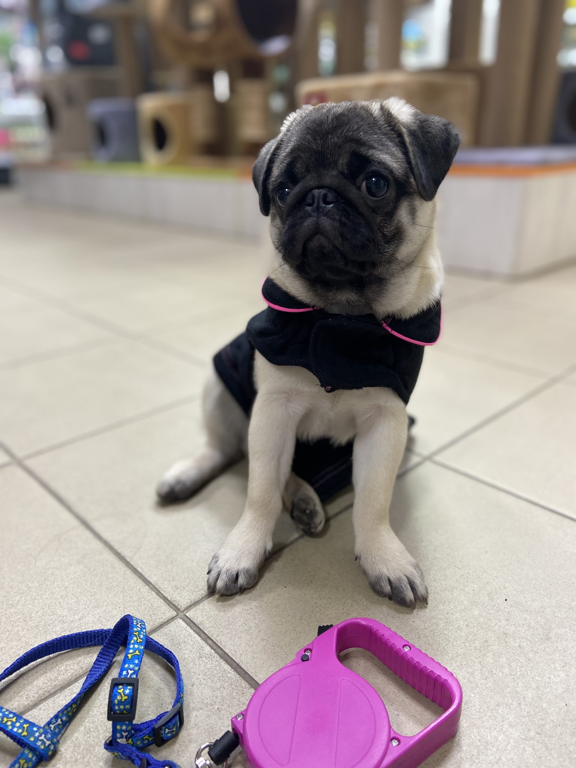 47B87D78-371F-4F1A-94A5-D1DAD0B9E941