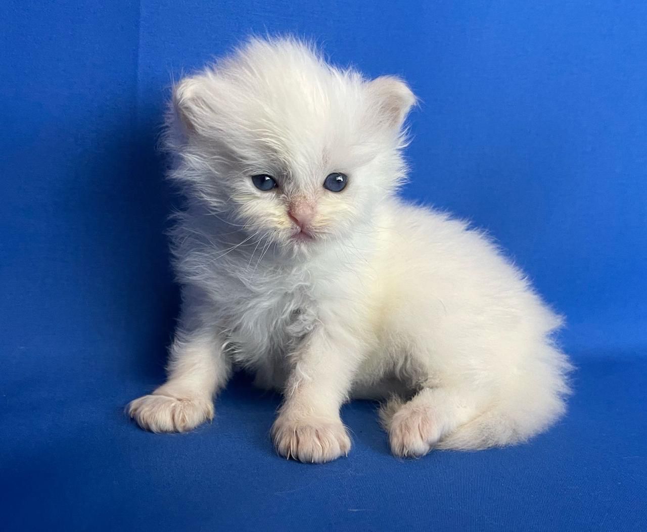 53B75D04-3996-4117-9E72-FDF4BE079C39