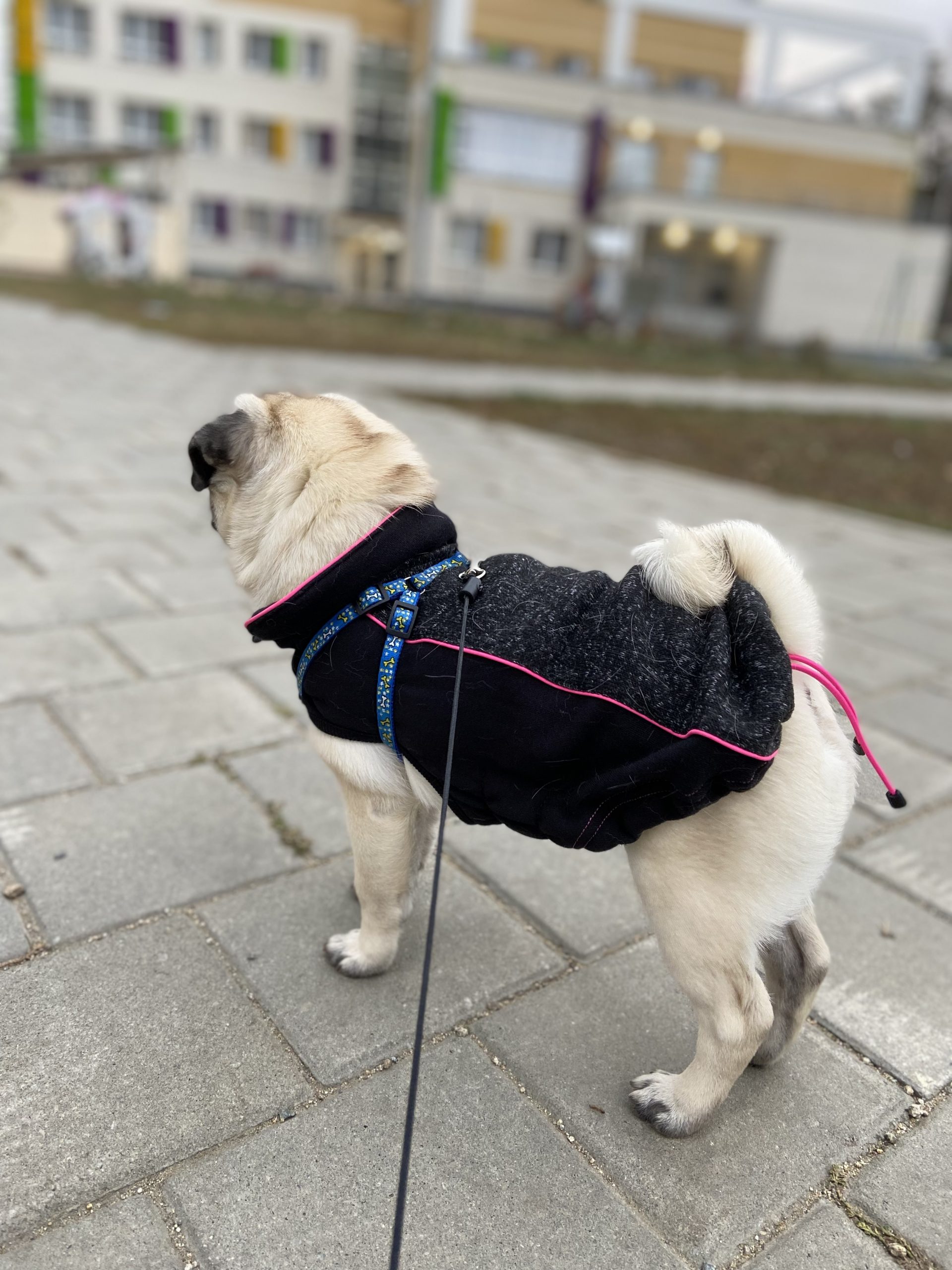 63F3E66B-05C5-418C-9916-B6A581FE3768