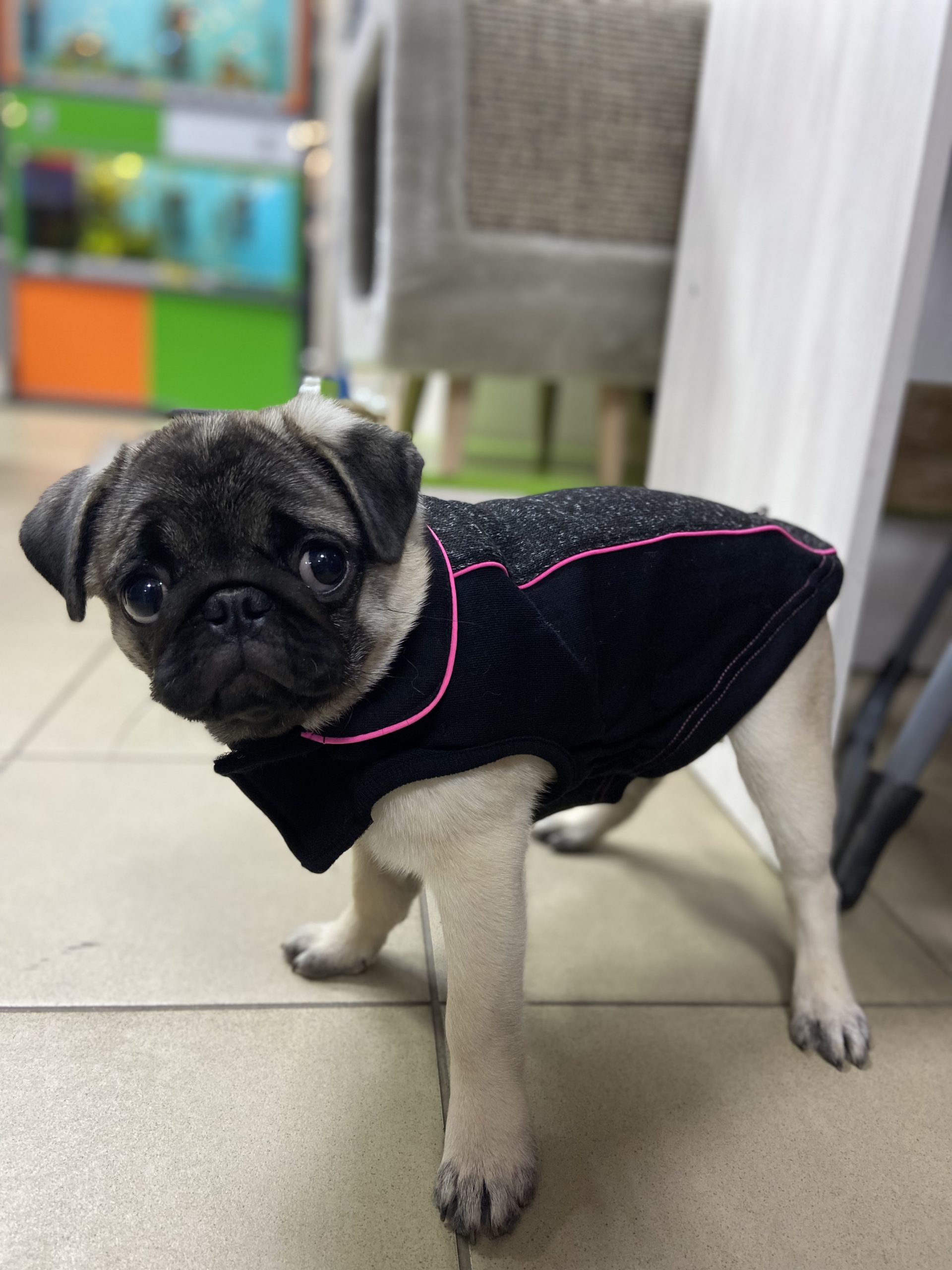 A5A735B4-4E00-480E-A6F1-C8390D122311