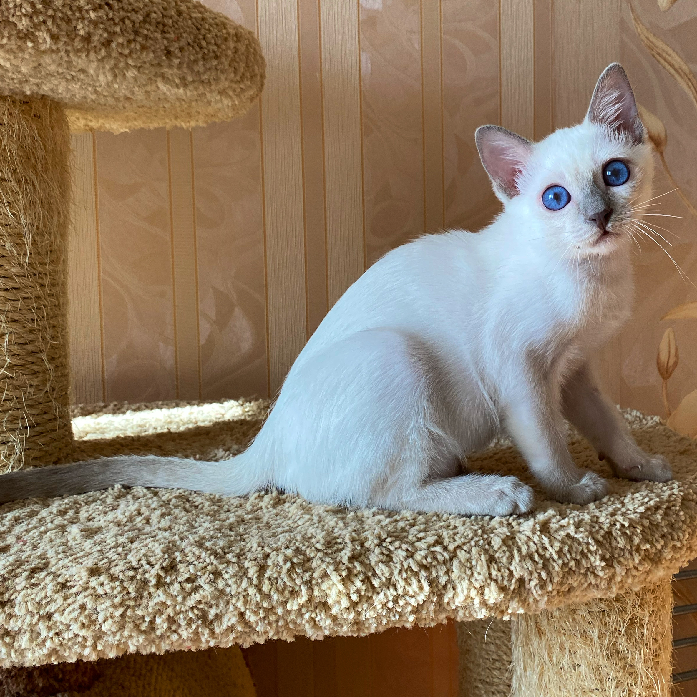 BA0910D3-C778-49C4-97F1-1539091F501A