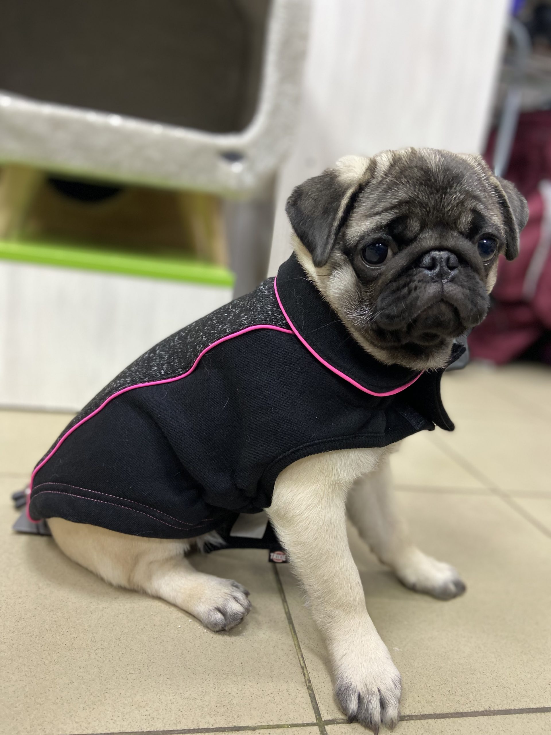 CA5DFE7A-B9EC-47FA-89AA-890A425B4894