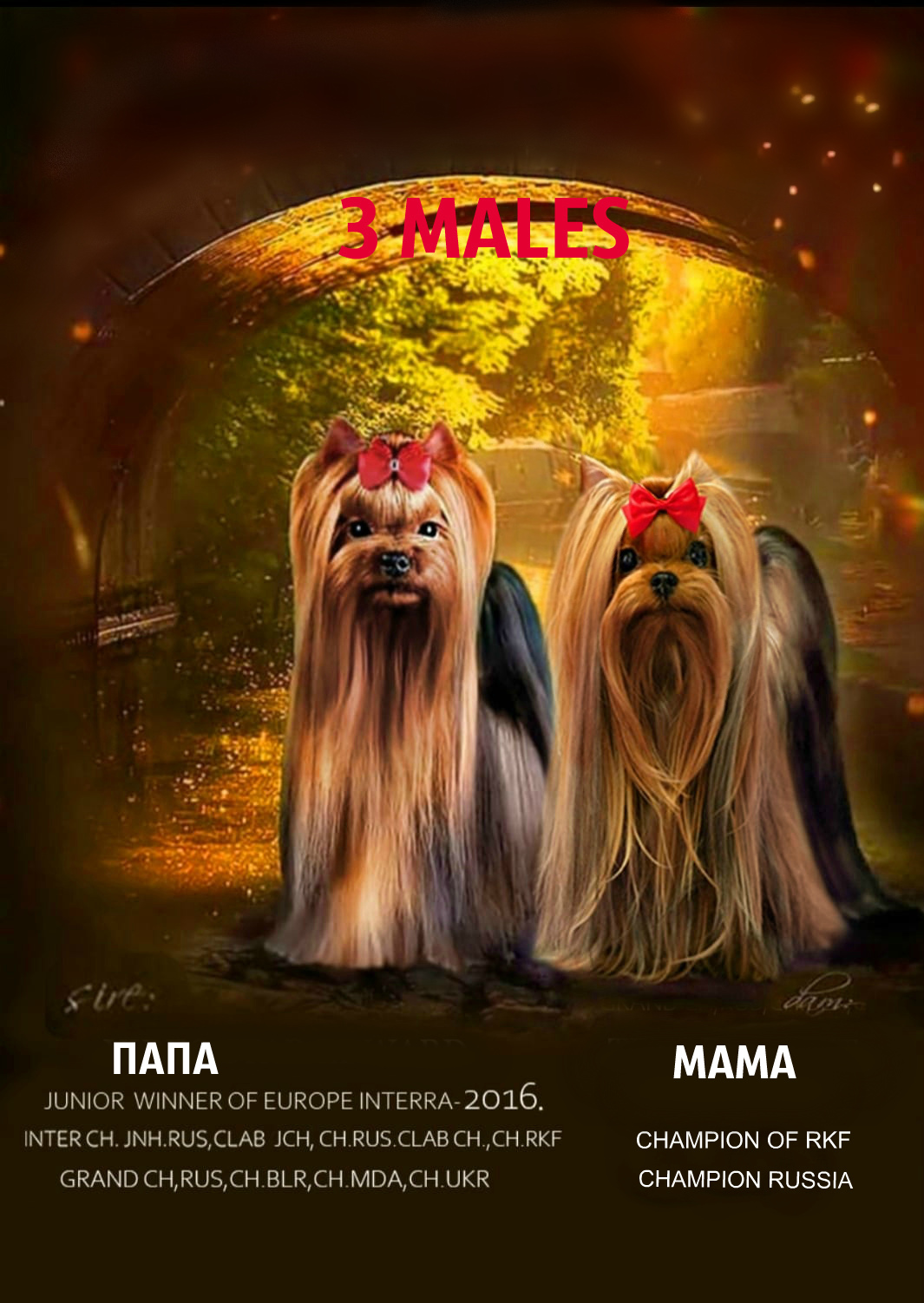 IMG-20220704-WA0022-ДАДА1