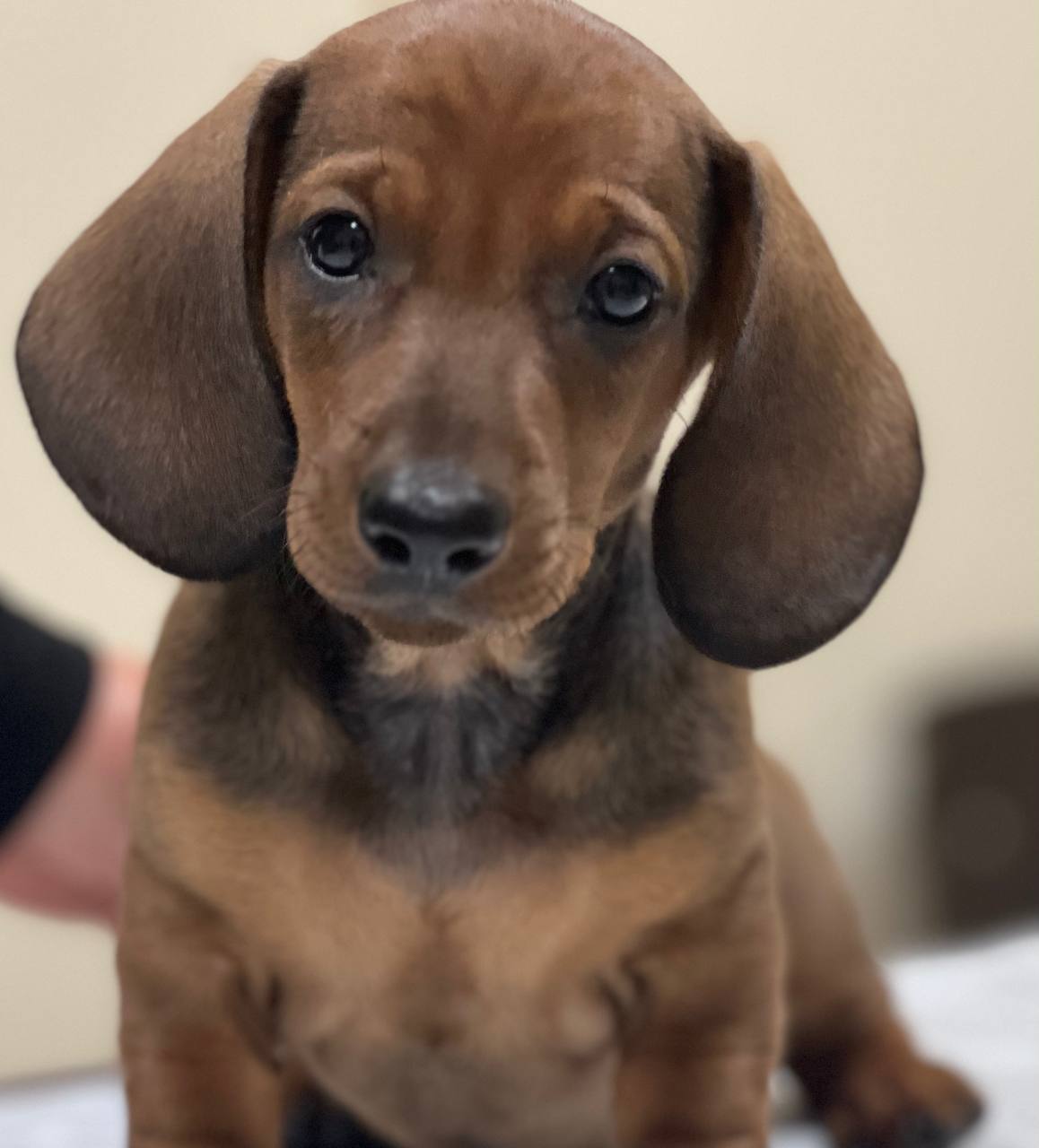 IMG_20221029_172322_865