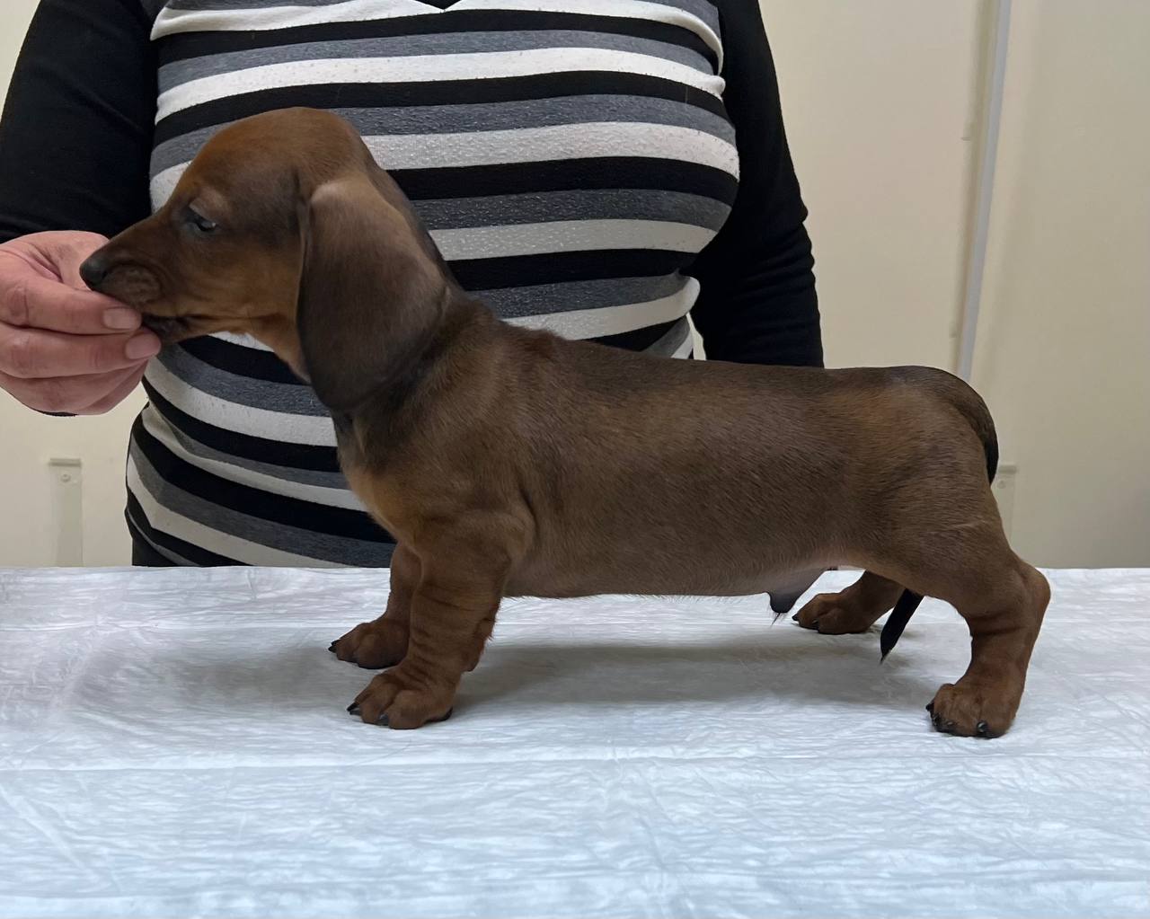 IMG_20221029_172329_129