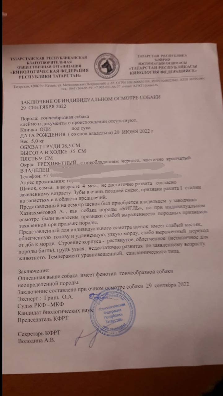 IMG_20221107_201022_847