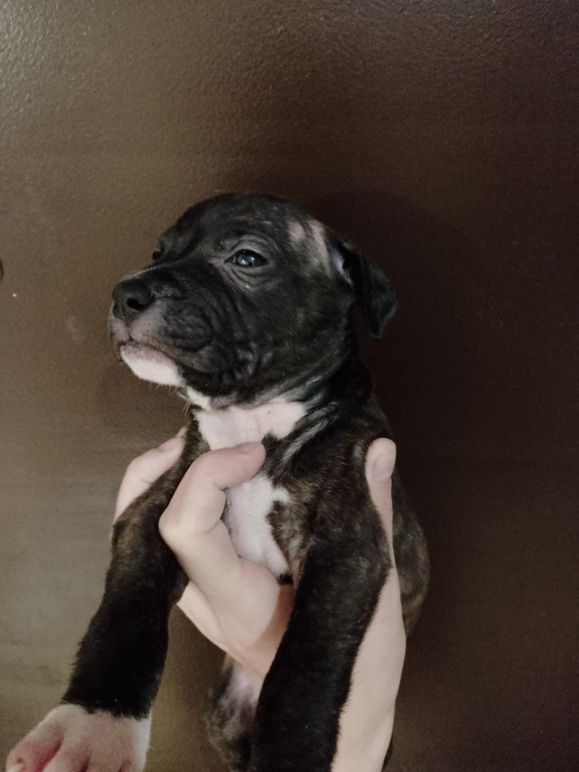 IMG_20221127_134050_437