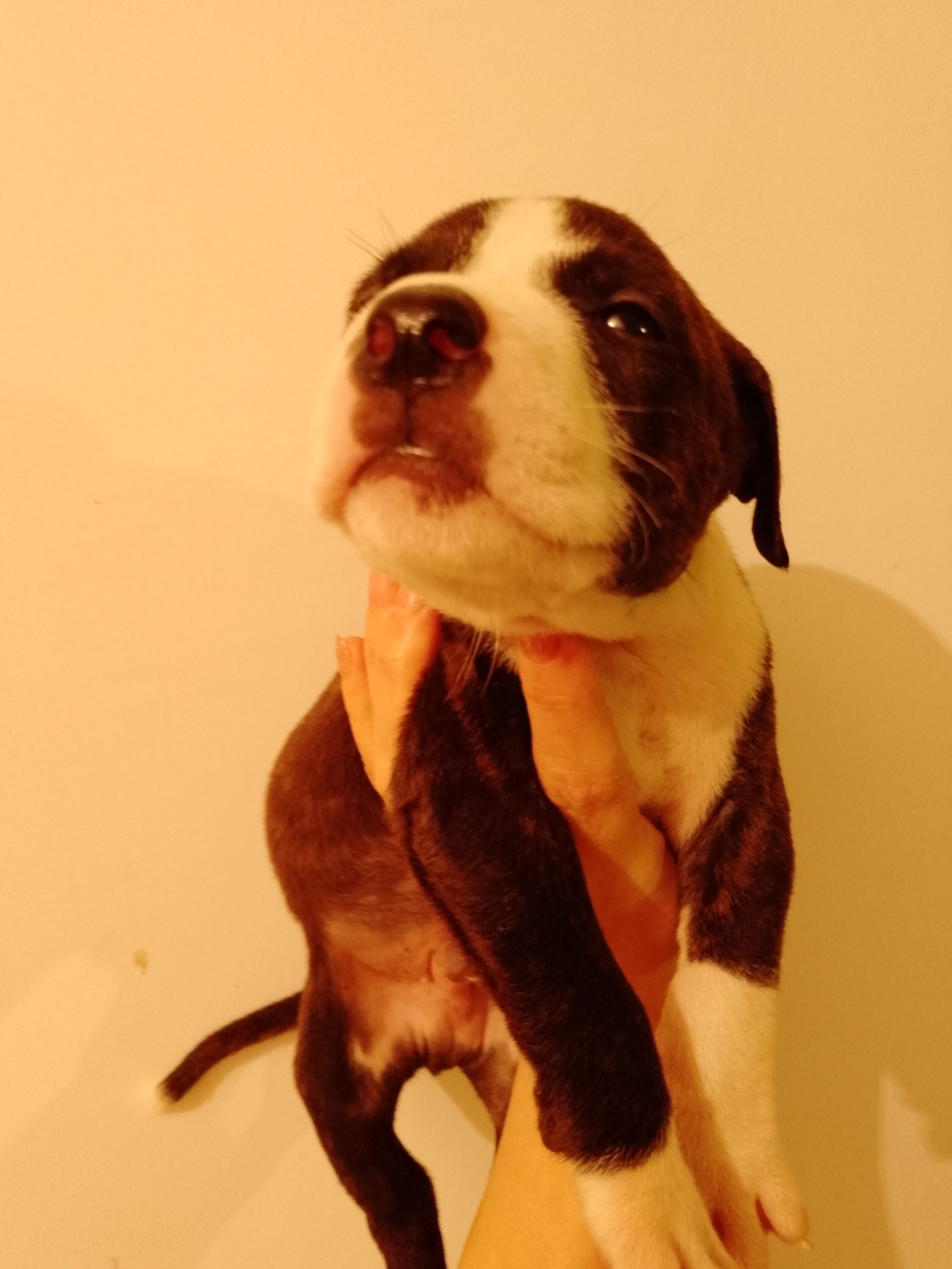 IMG_20221128_230531_212