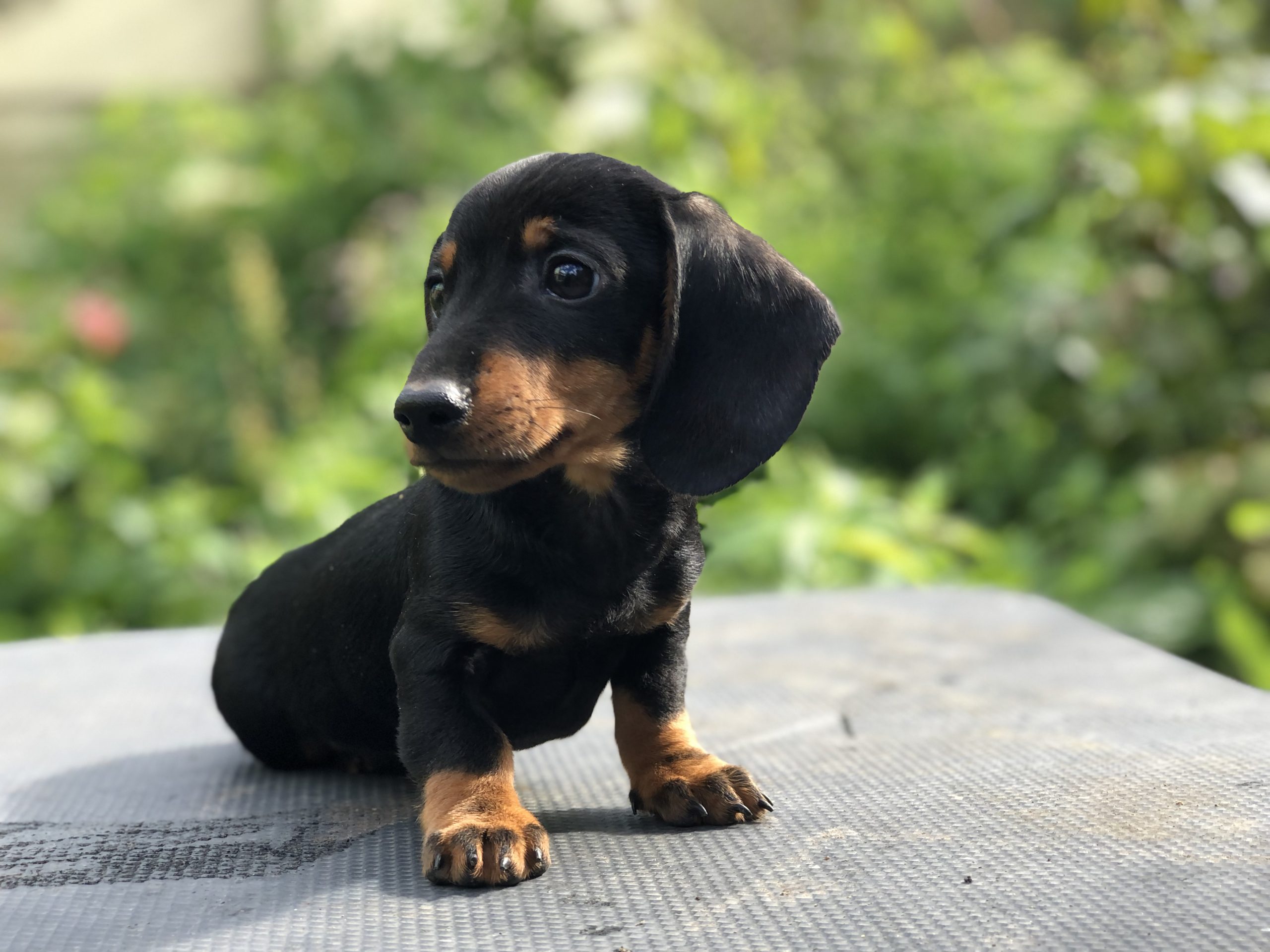 Photo_2022100417453318