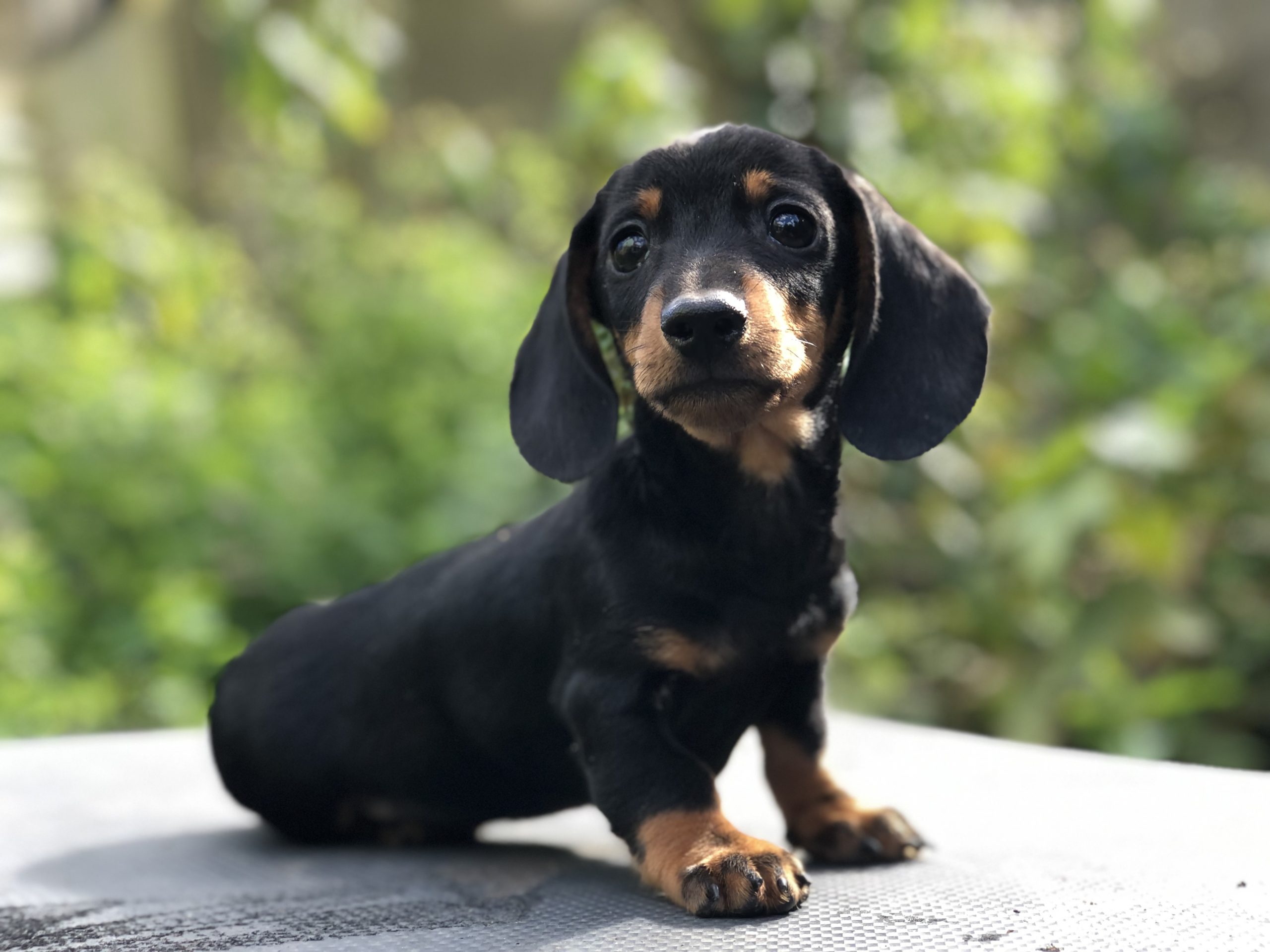 Photo_2022100417453421