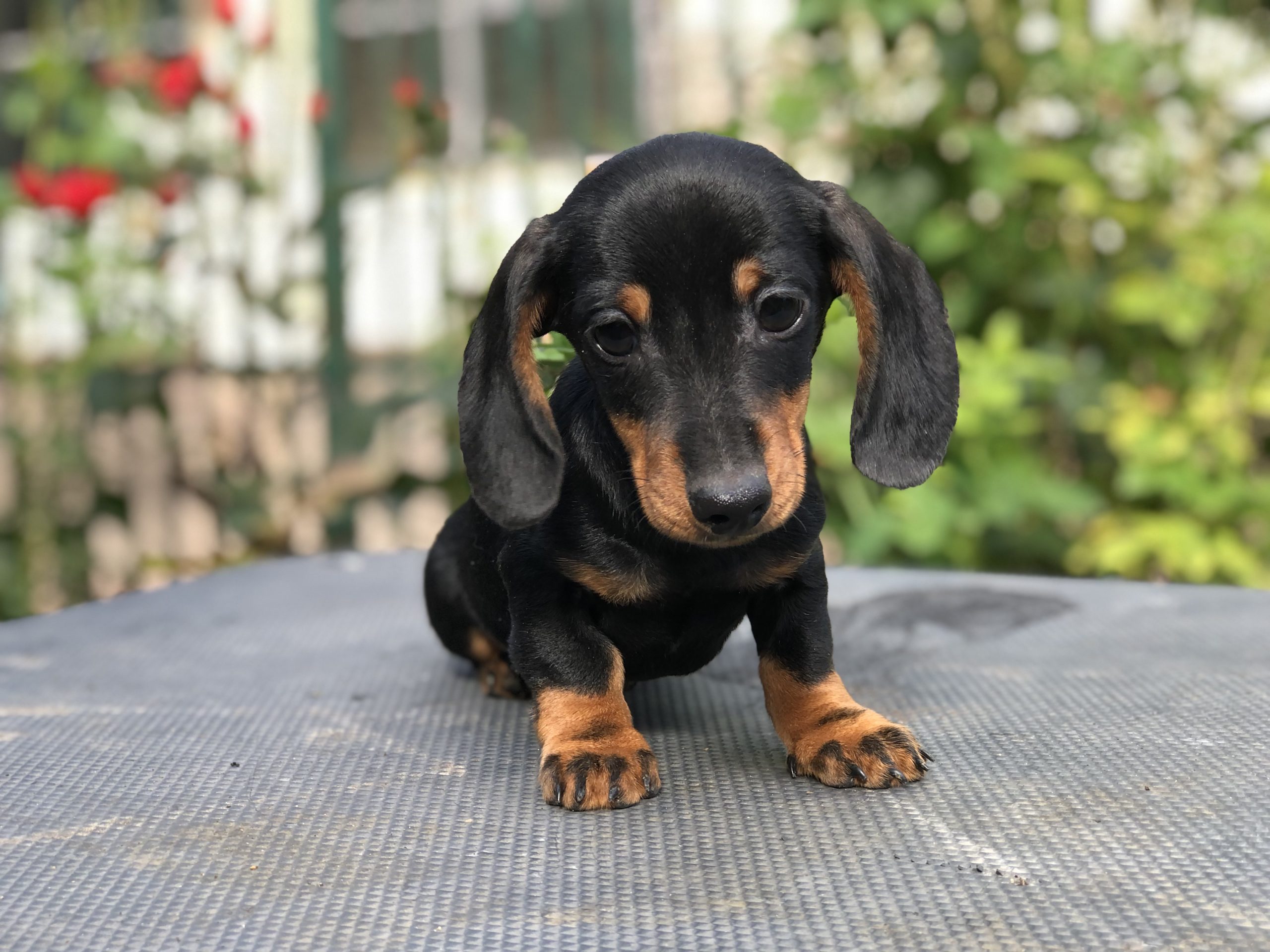 Photo_2022100417453933