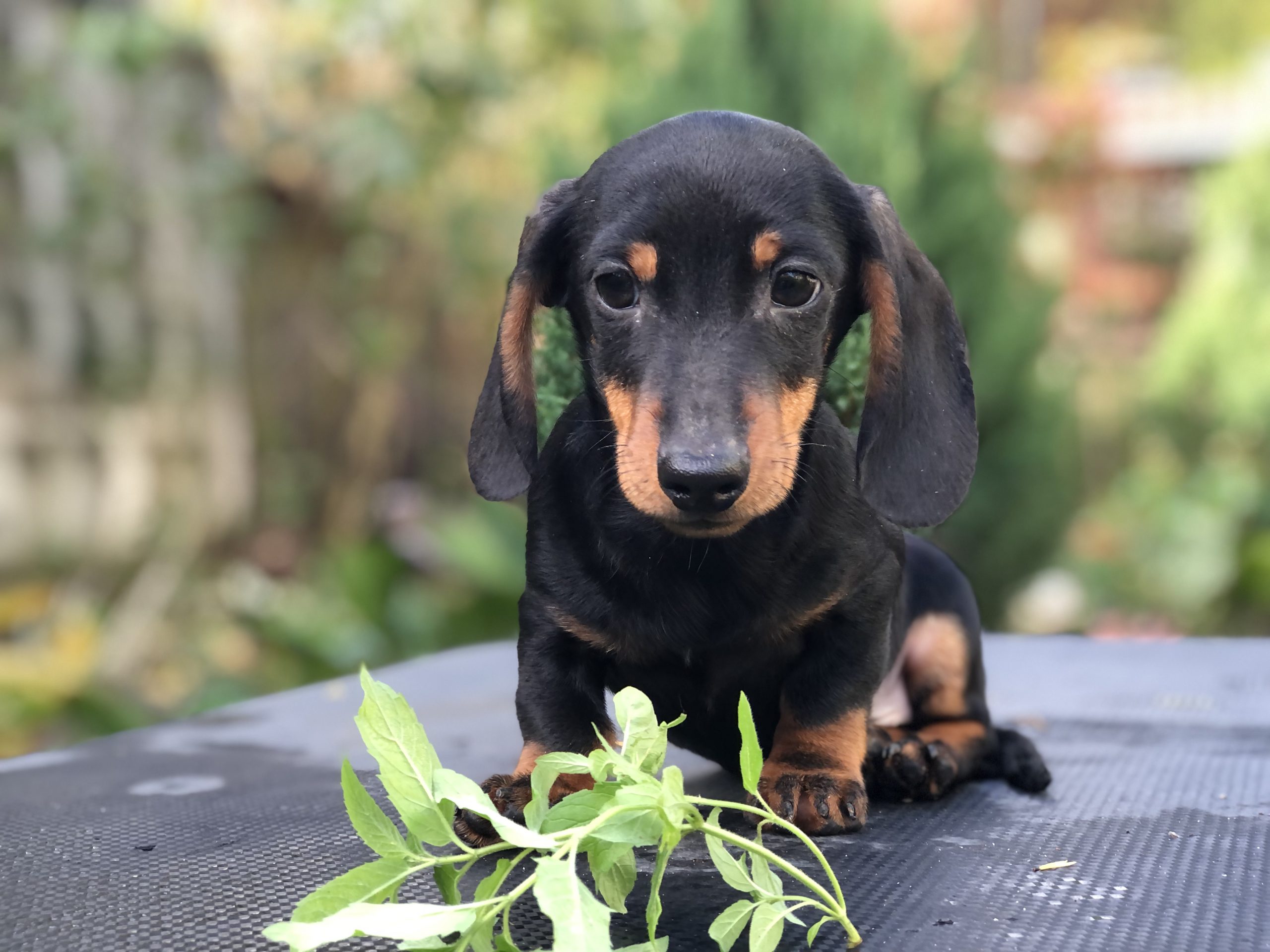 Photo_2022101401510477