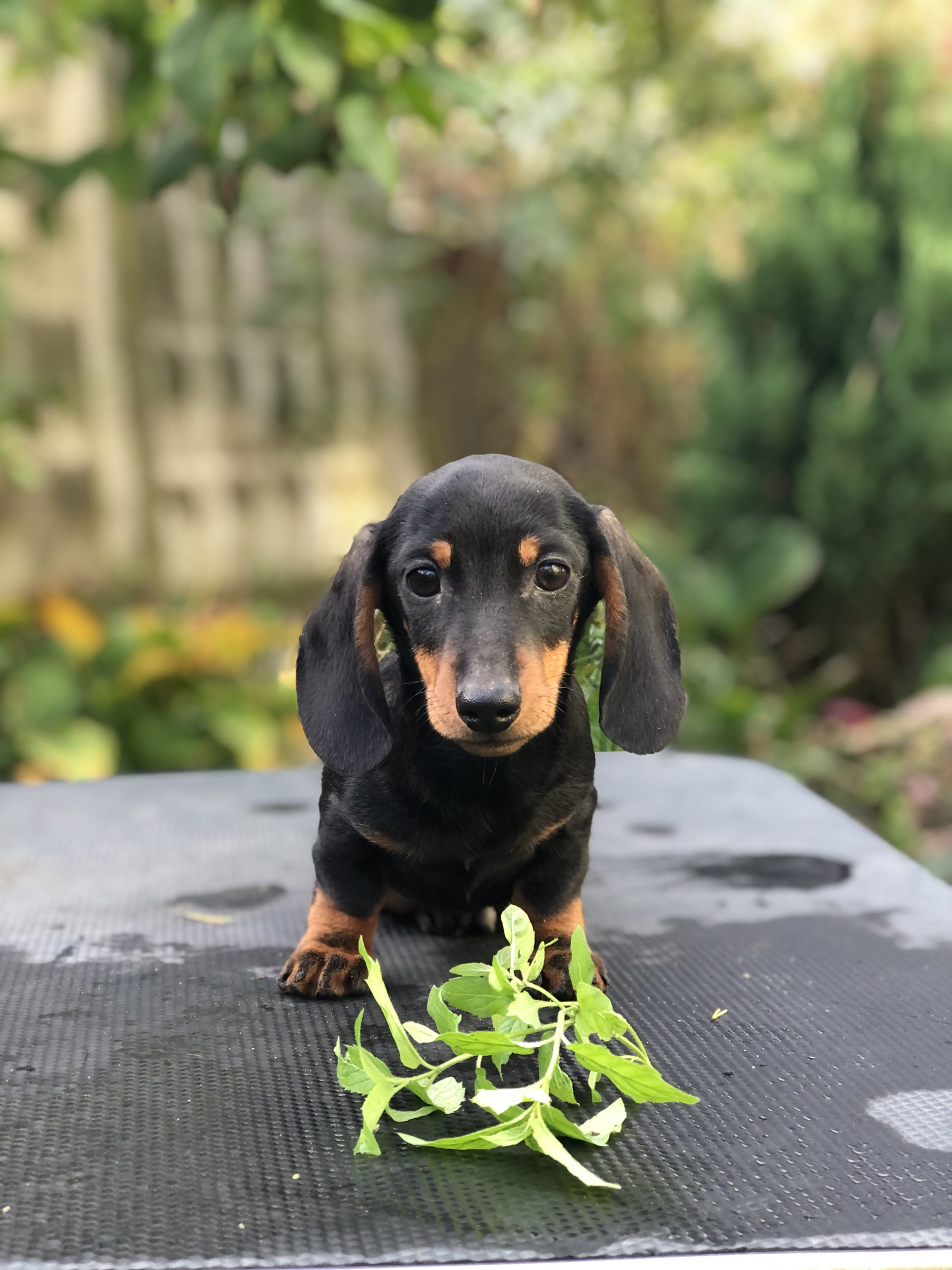 Photo_2022101401511392