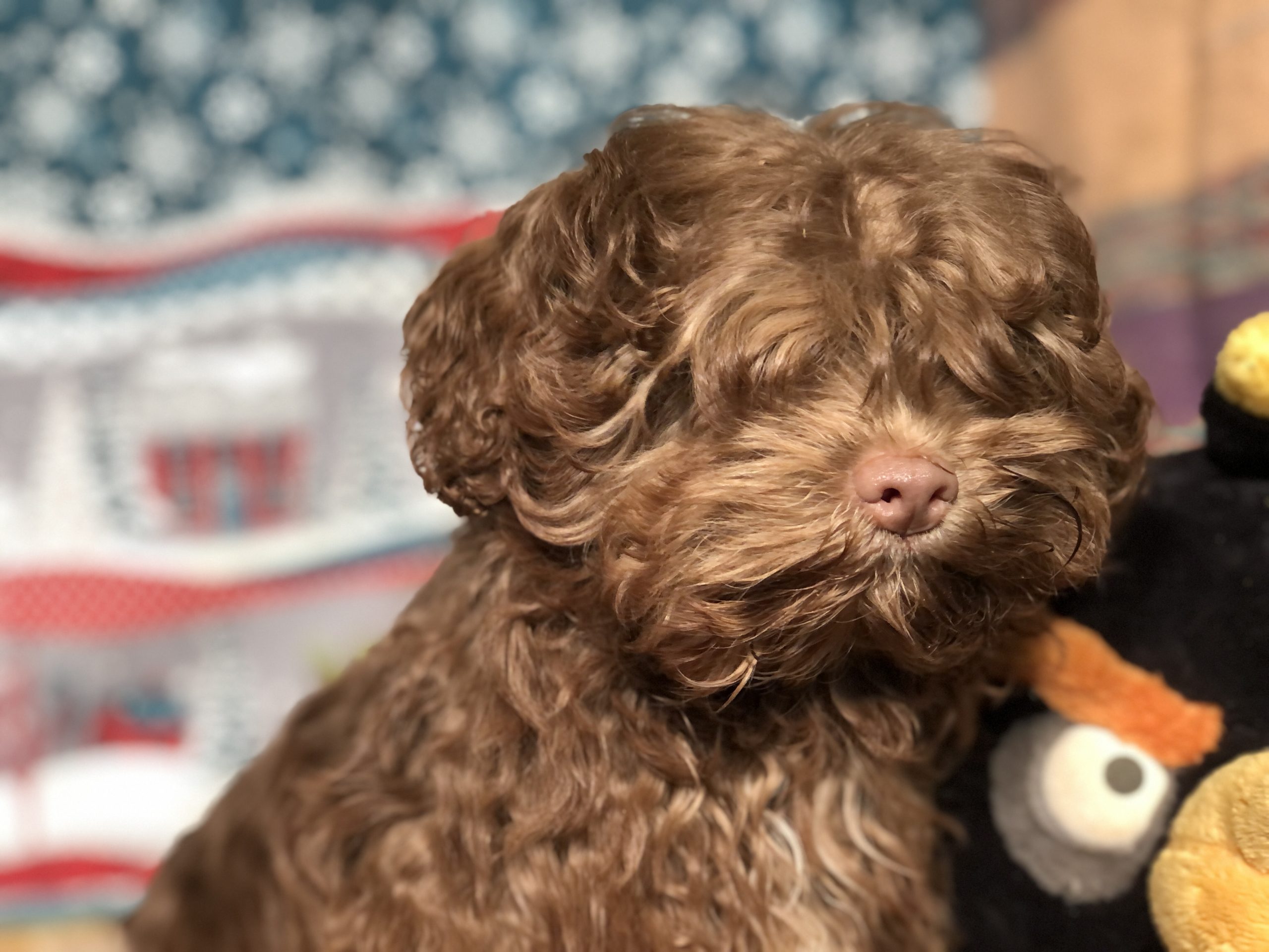 Photo_2022112102193330