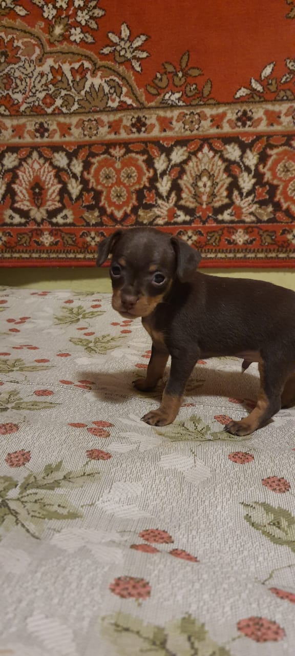 WhatsApp-Image-2022-11-11-at-19.02.52