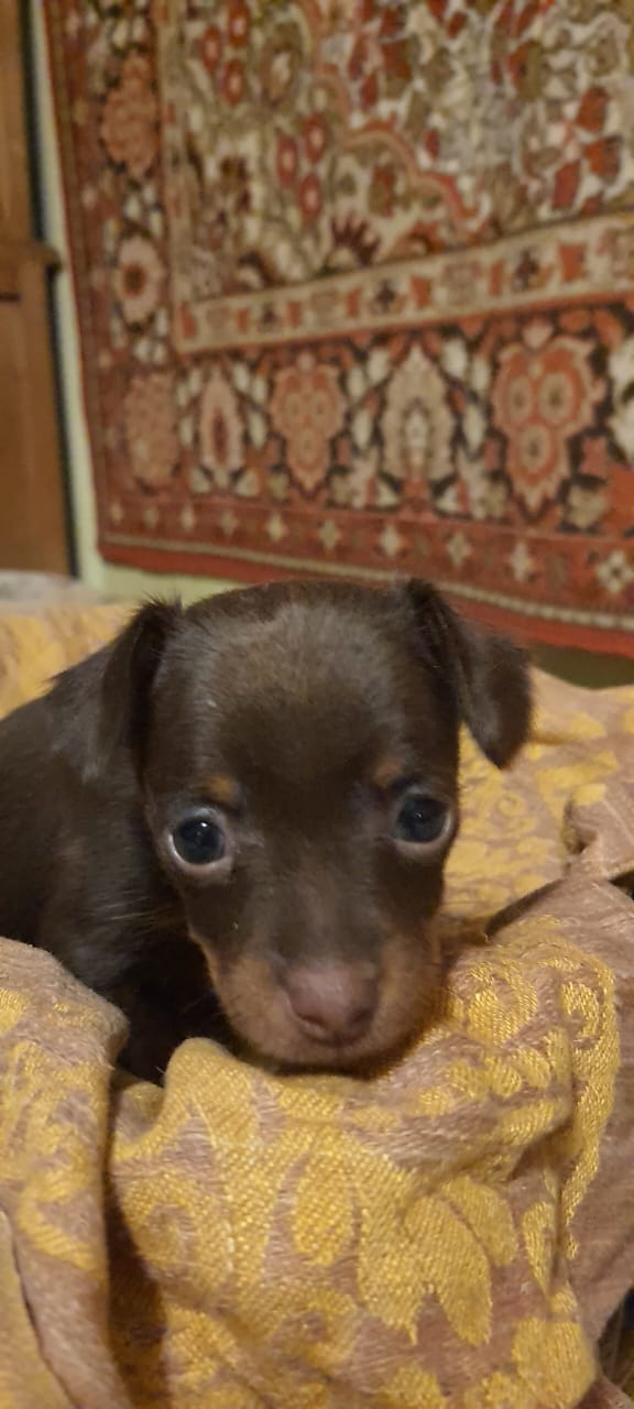 WhatsApp-Image-2022-11-11-at-19.02.56-1