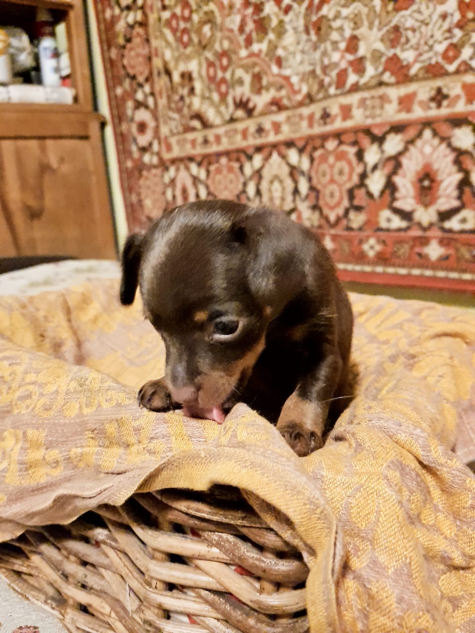 WhatsApp-Image-2022-11-11-at-19.02.56