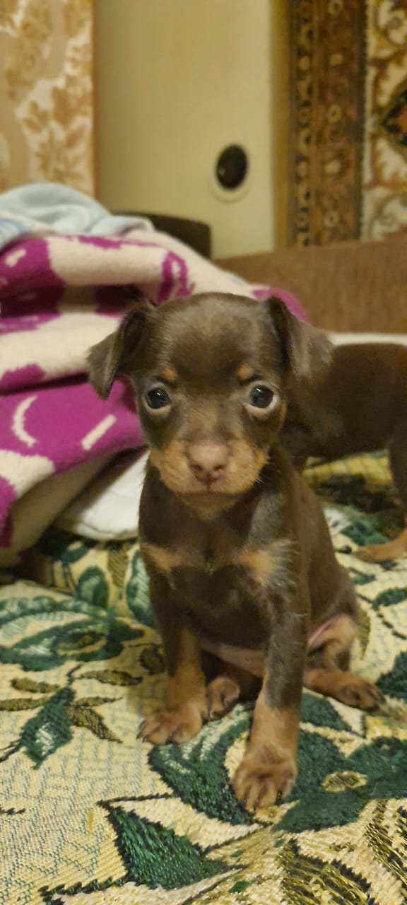 WhatsApp-Image-2022-11-11-at-19.02.57