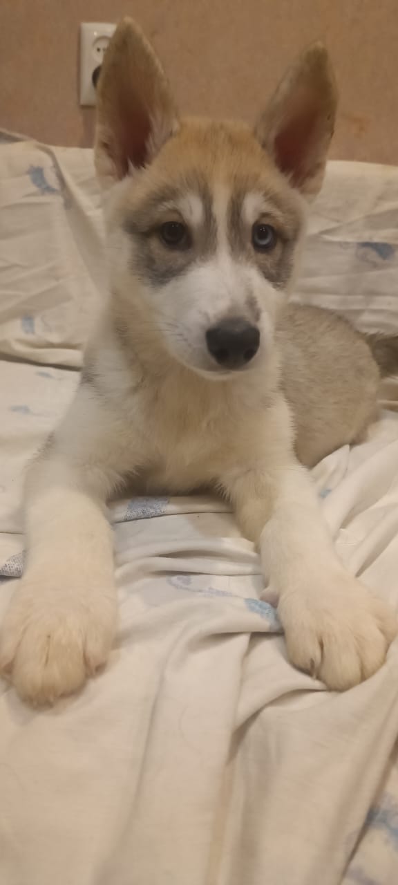 WhatsApp-Image-2022-11-15-at-17.35.14