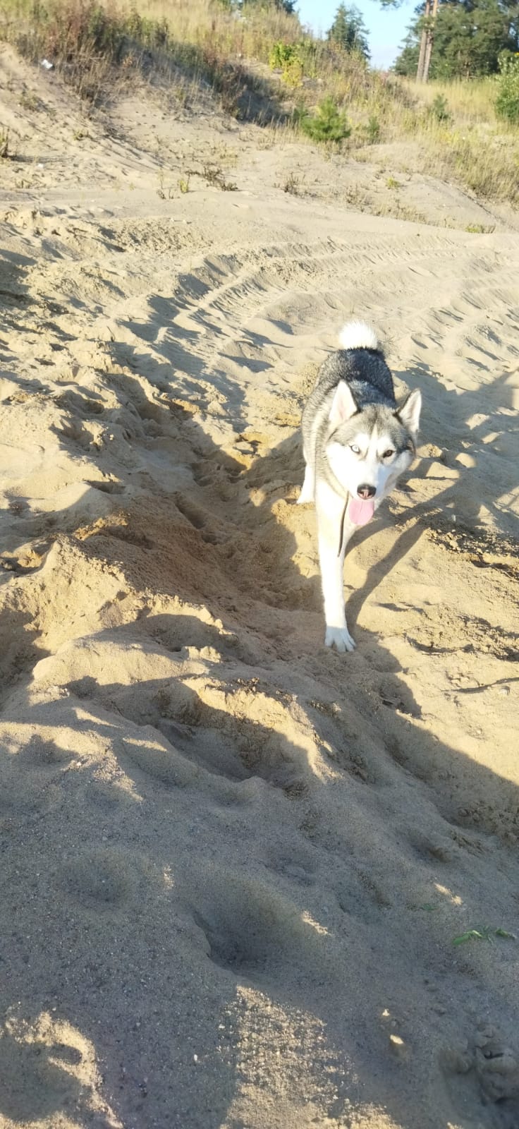 WhatsApp-Image-2022-11-15-at-18.10.48