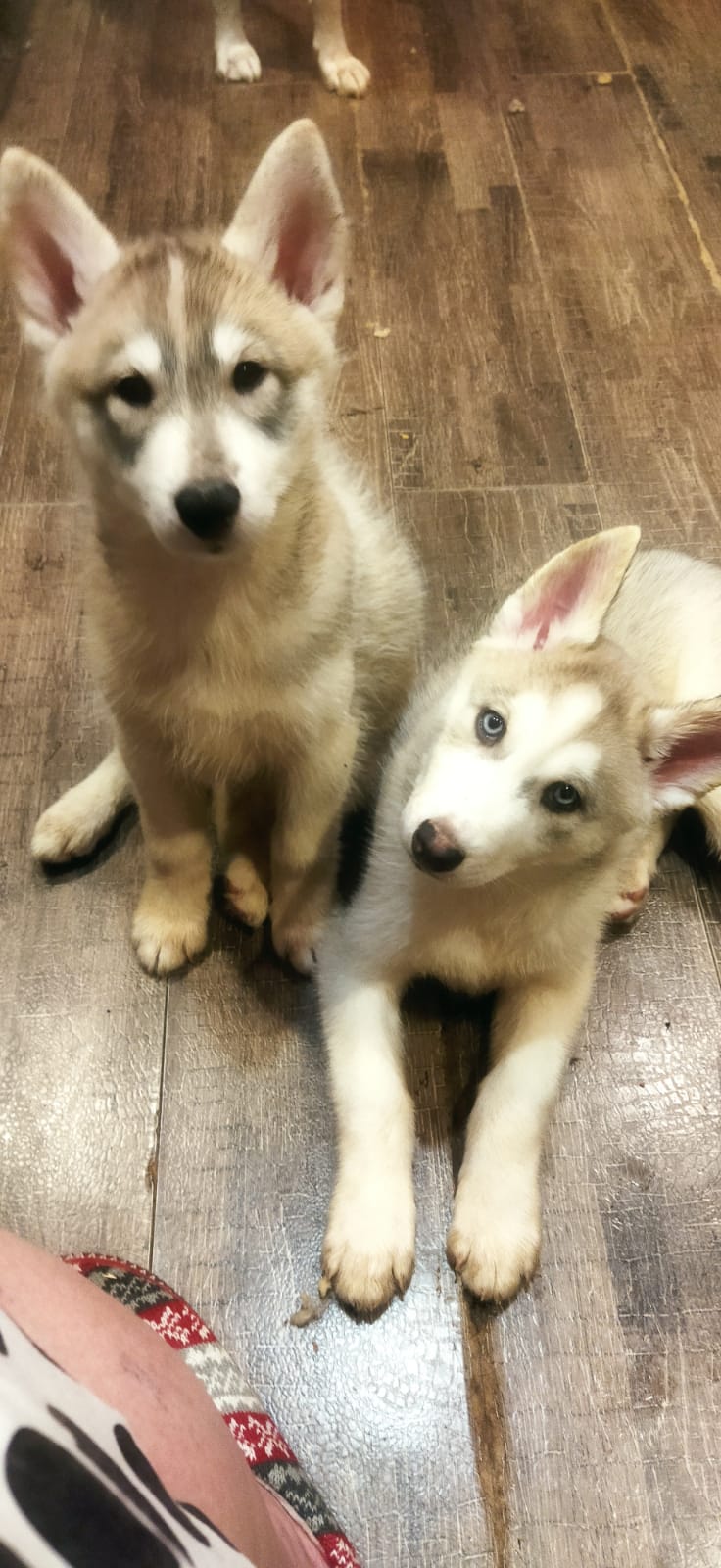 WhatsApp-Image-2022-11-21-at-00.01.57-1