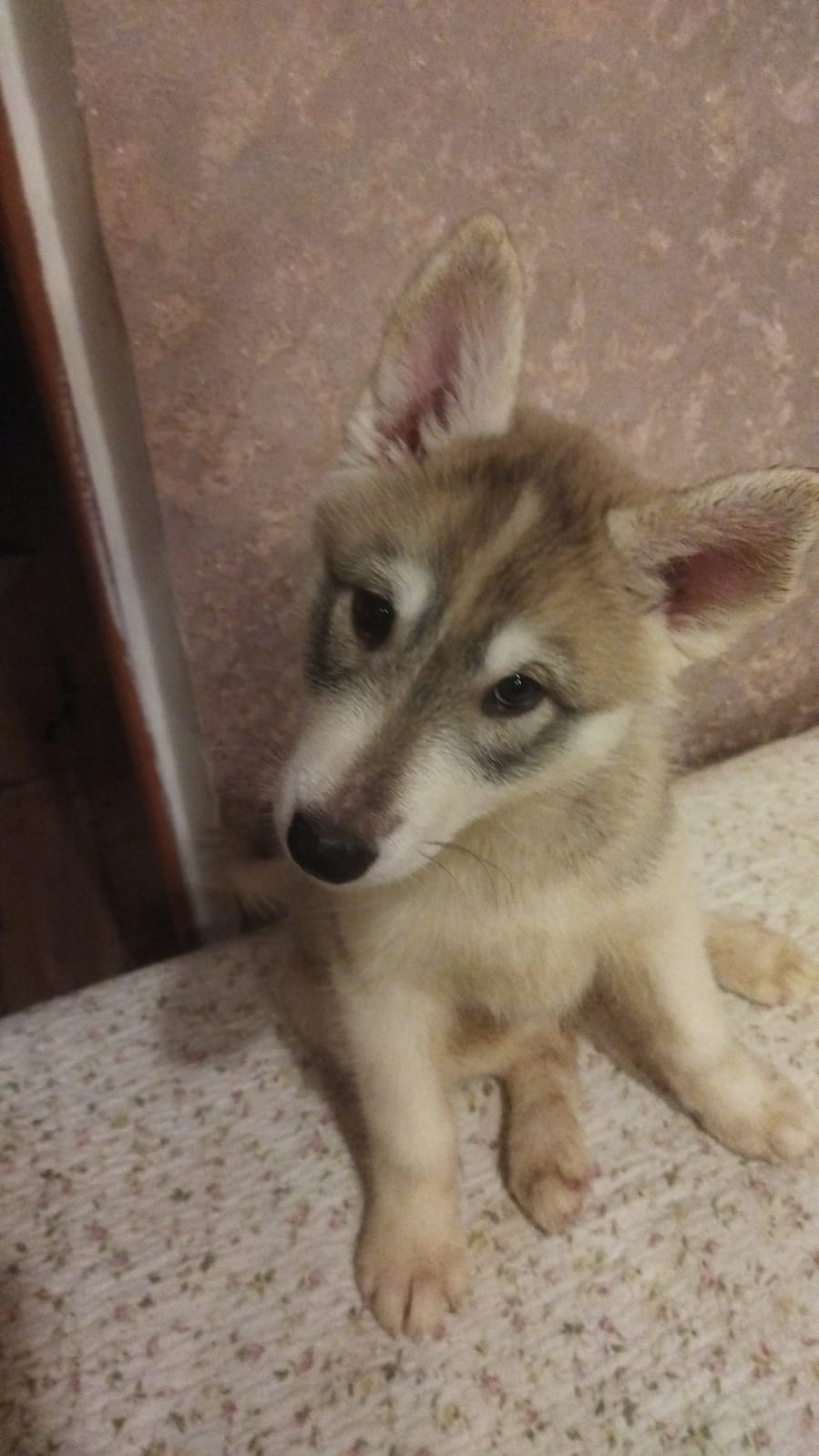 WhatsApp-Image-2022-11-21-at-00.16.57