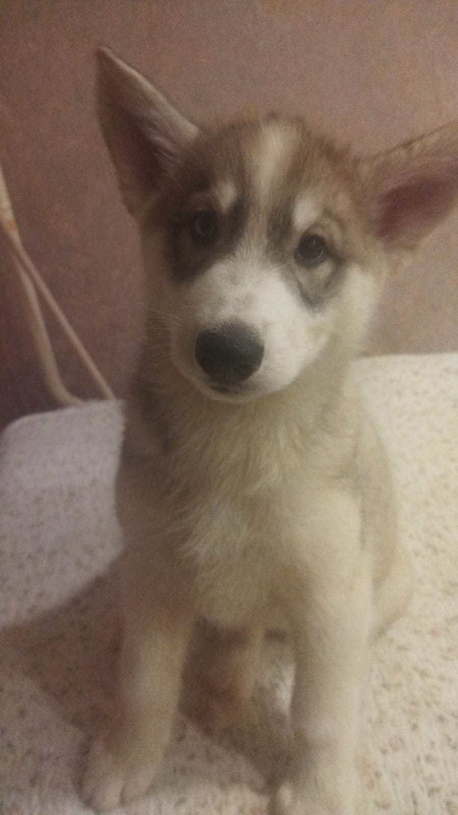 WhatsApp-Image-2022-11-21-at-00.28.47