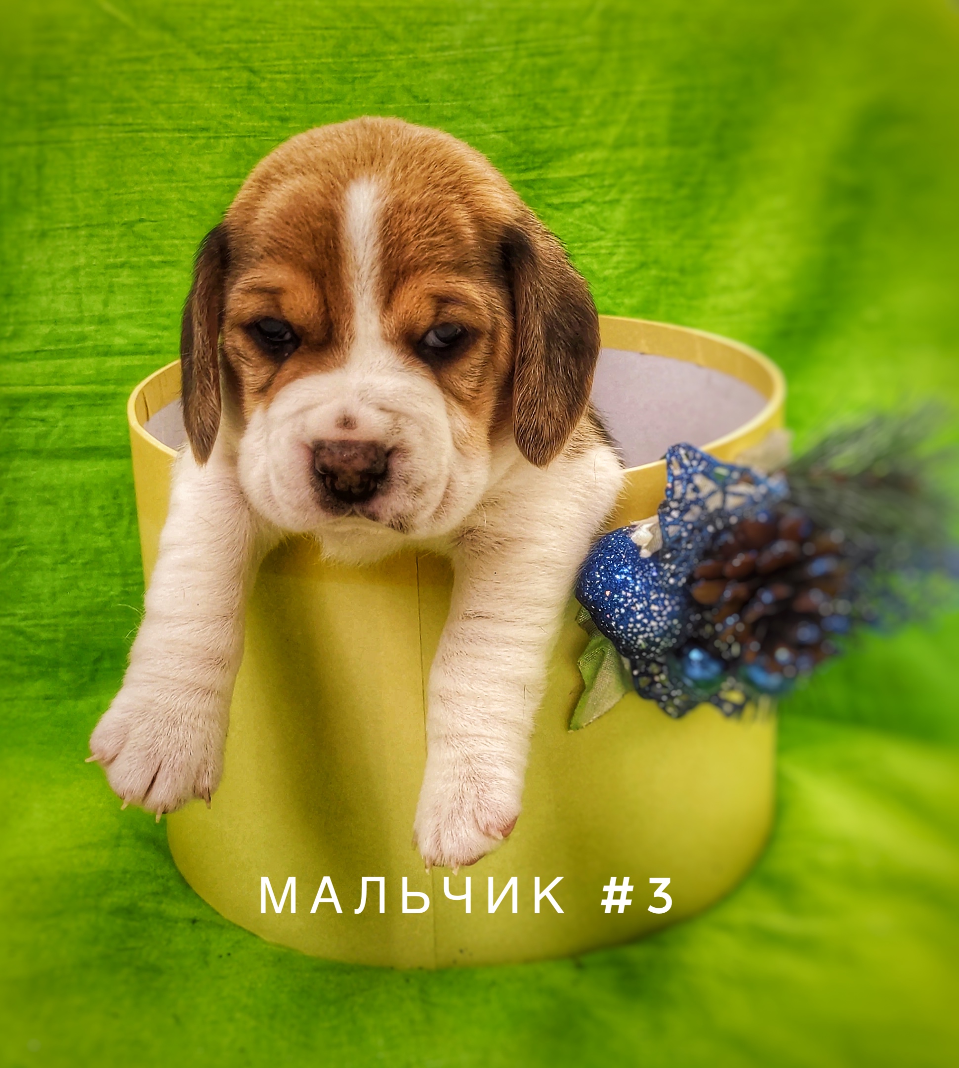 0328AB7A-76AC-4968-B84C-9FFE90305EA4