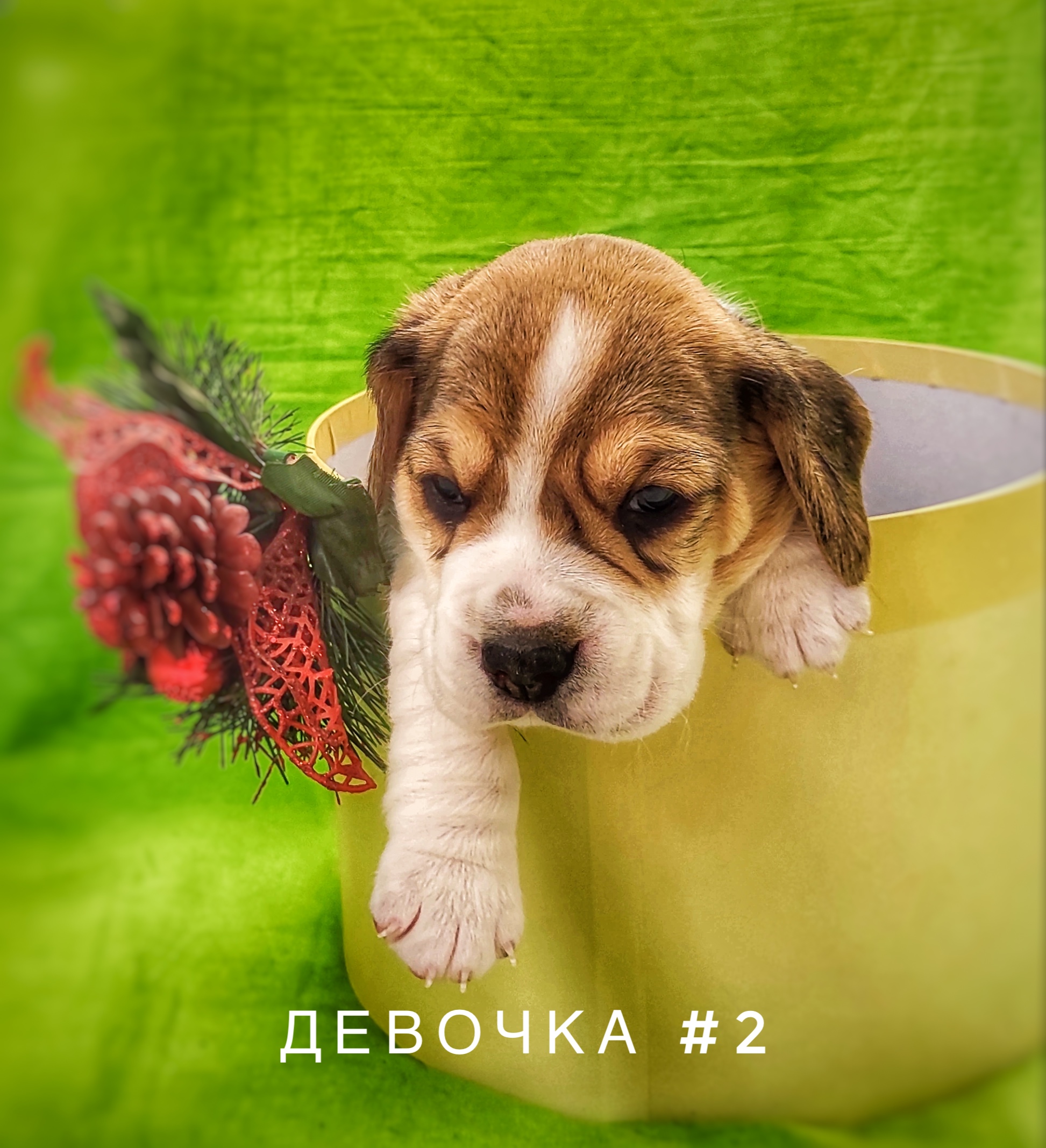 09512202-8181-41A0-82D3-D8AA9F493A2C