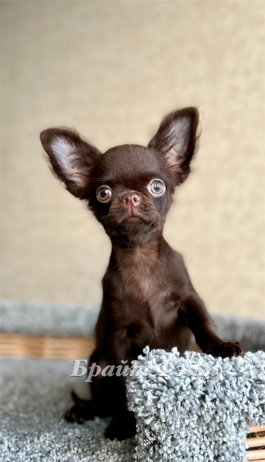 44885716-EBC5-469F-AA08-FBADE89C1B12