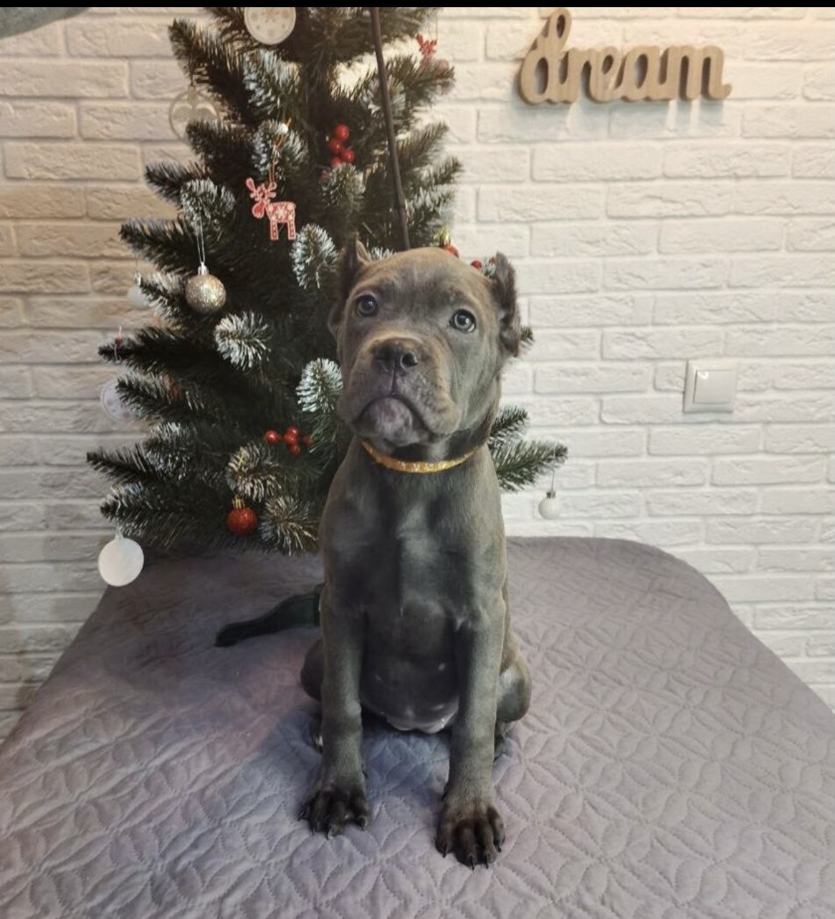 561ADFC6-1651-411D-AFF4-1D69880637D0