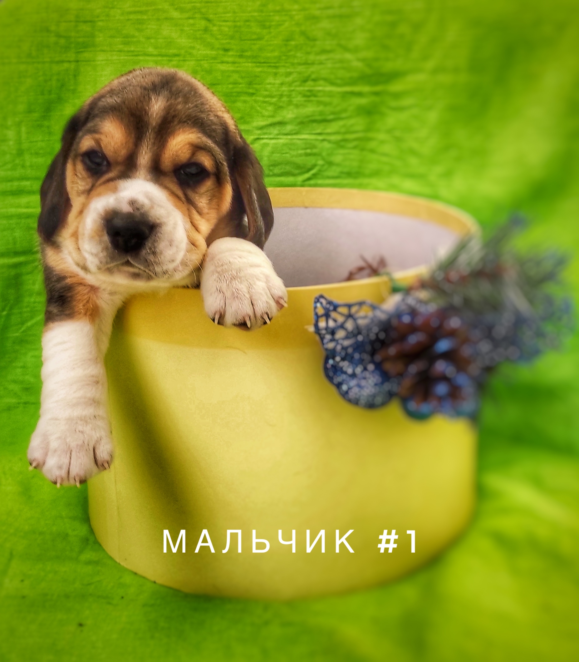 7FB66AC7-48F3-427C-8C60-A6B76B4F8E43