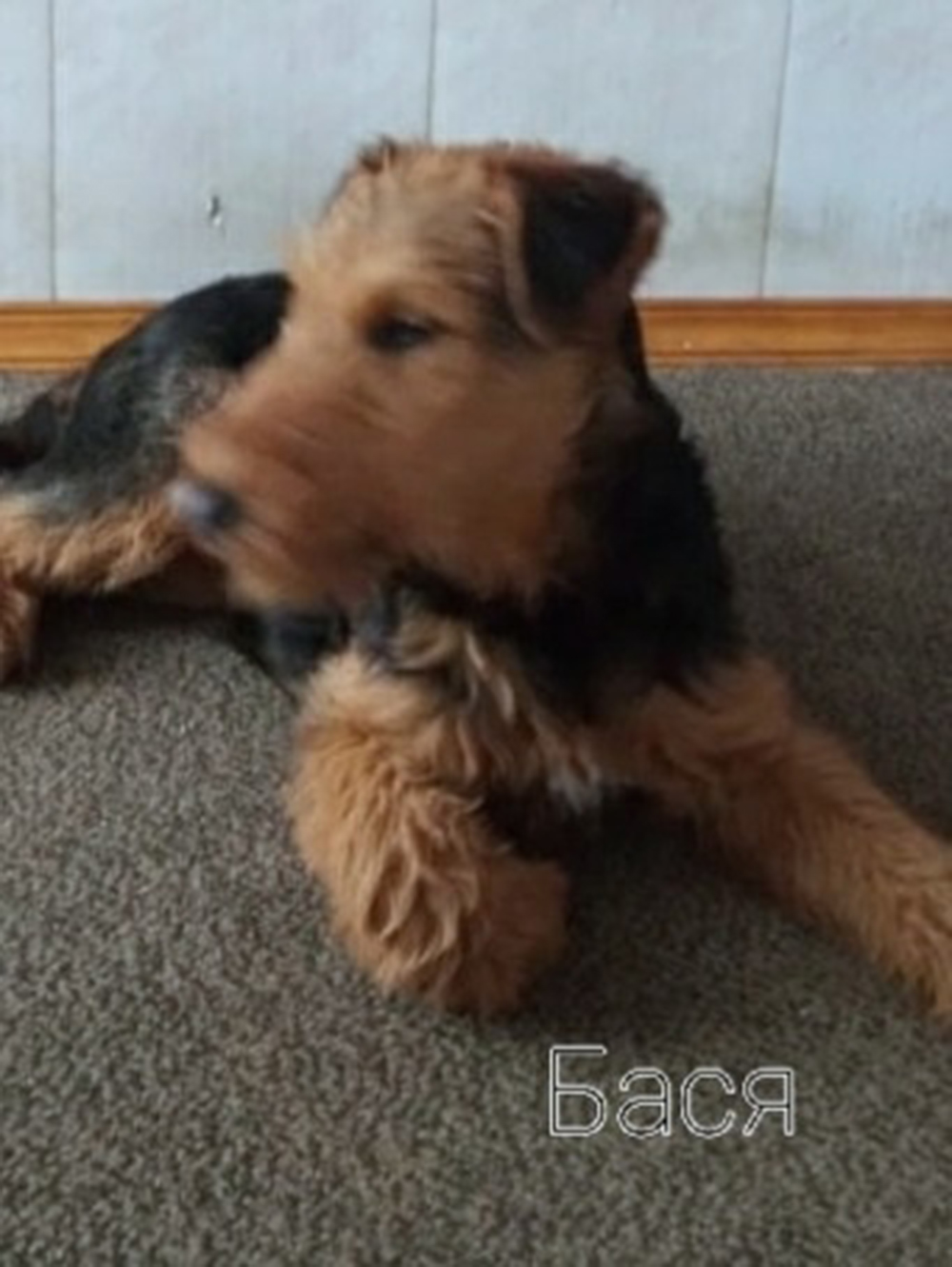 BZsKOqU8OAv5GBxyn40E3upP_P7Fz9dJnUbNq6_iikLtt02OurNXjeKzFOqMTk5XJhG9cQtDl86QOT2-WvudpIK0