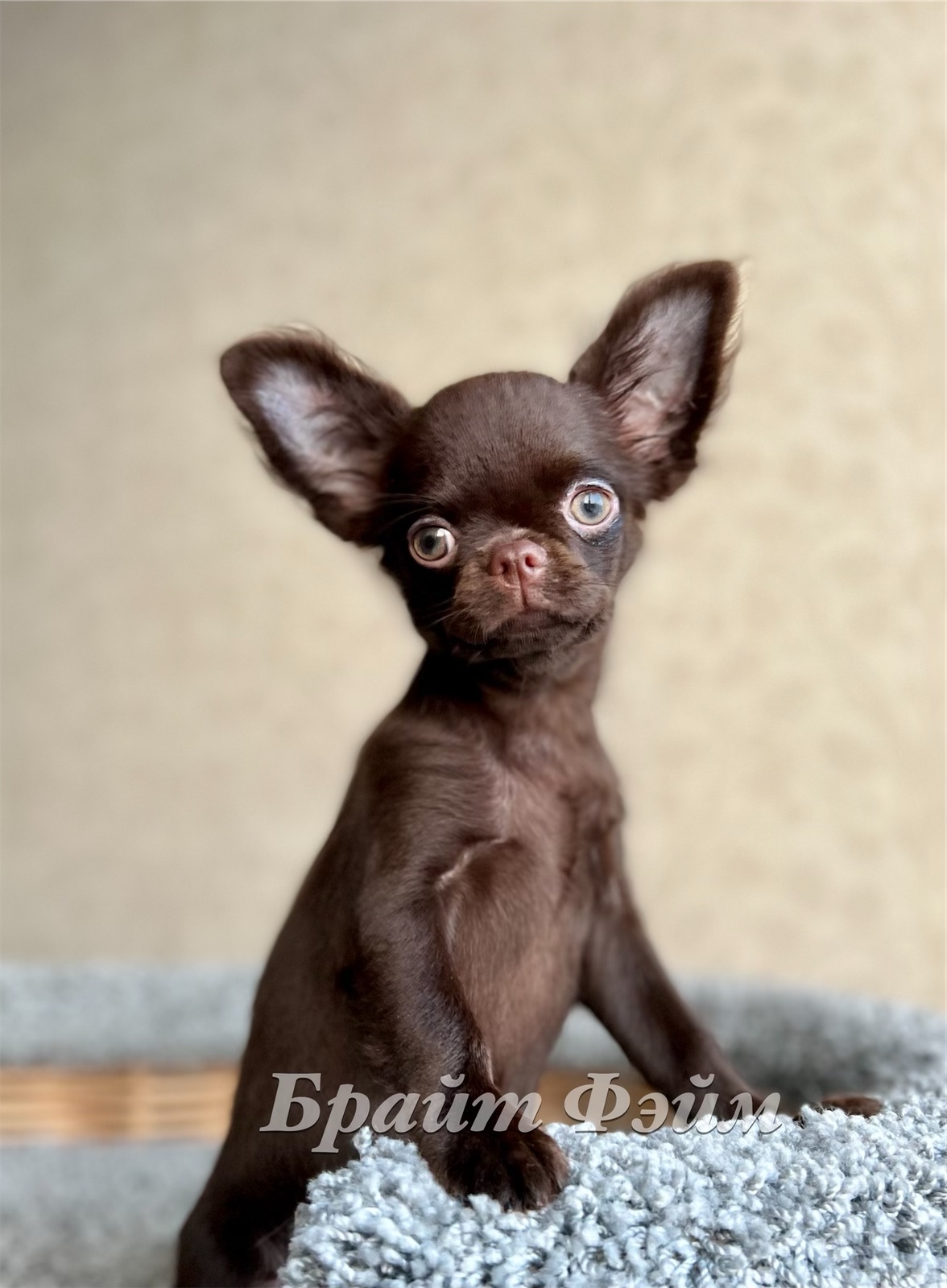 C6459E05-BB89-47CD-9CE1-97CD3792183B