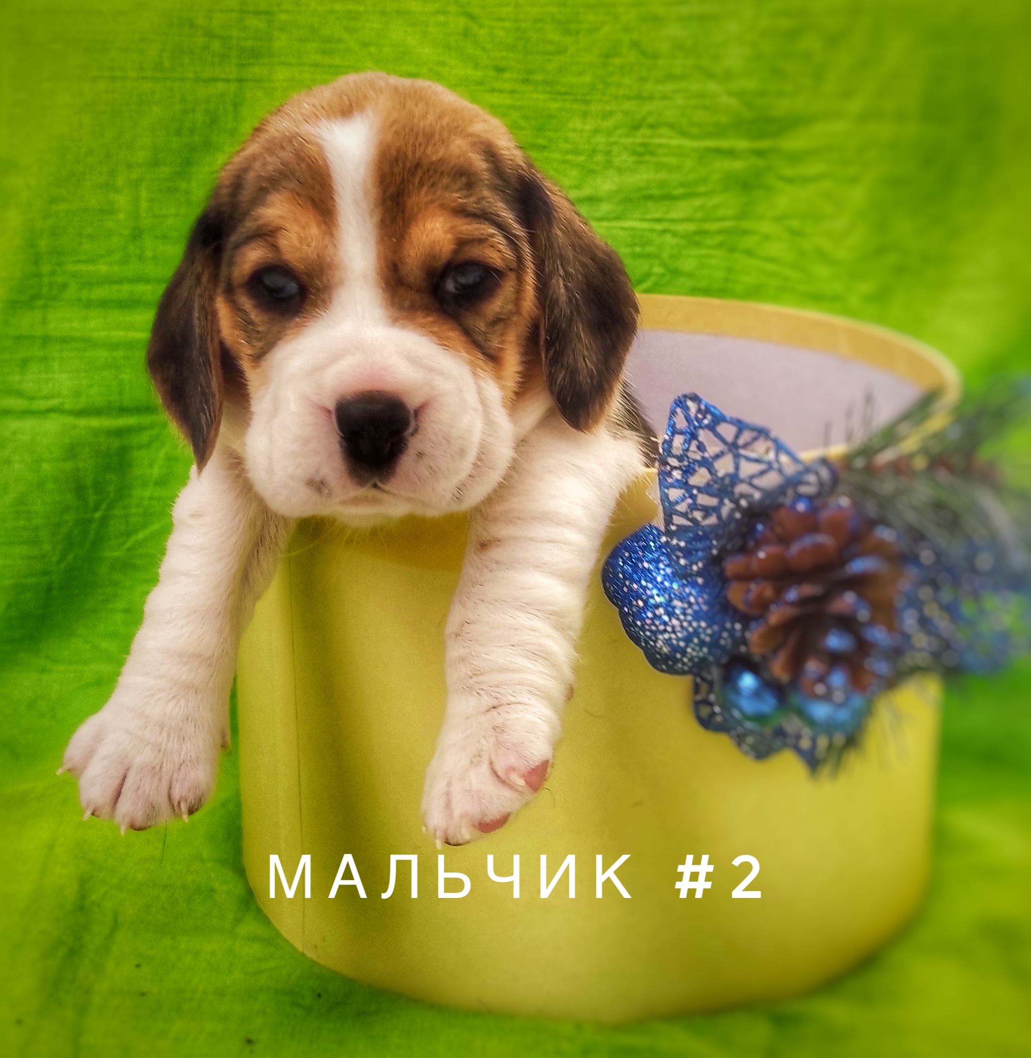 DE494AB0-B26C-412F-B221-95E8375CF736