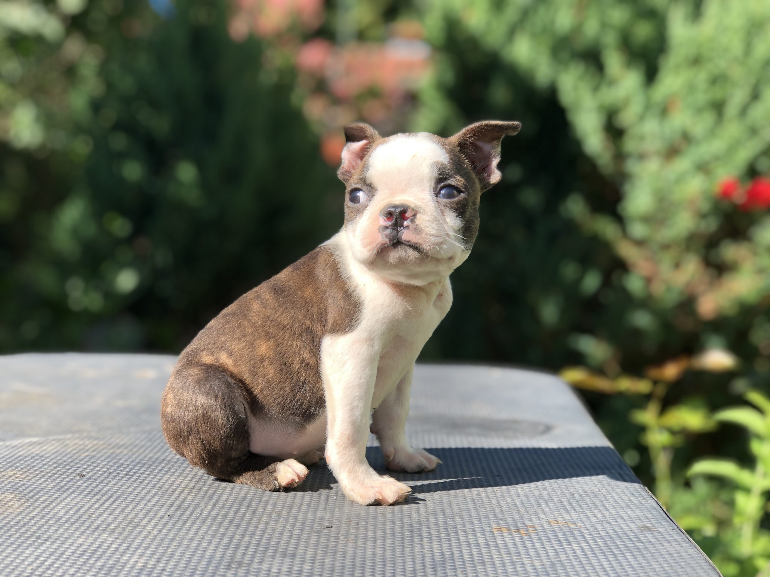 Photo_20221005013955108