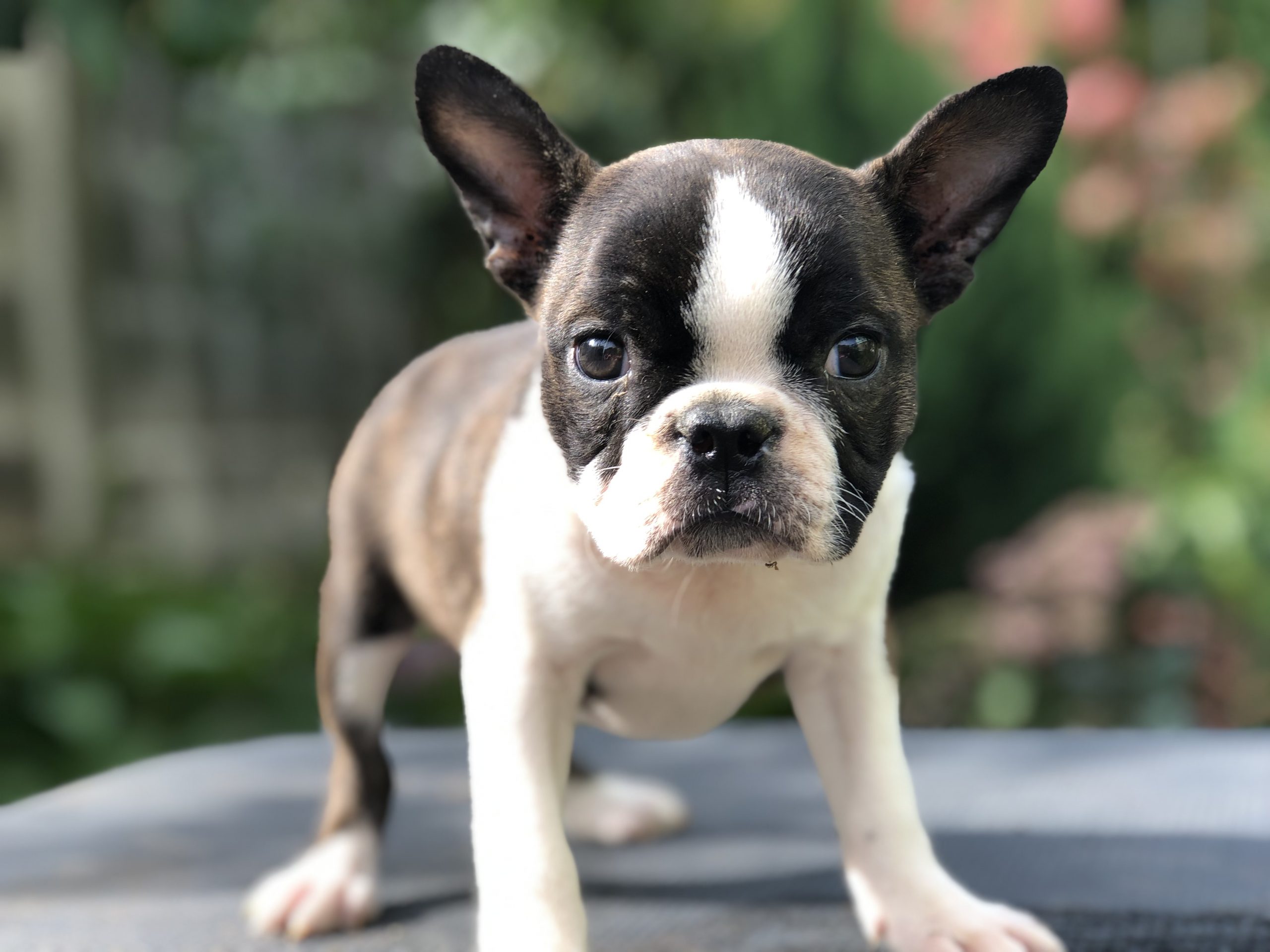 Photo_20221005022445200