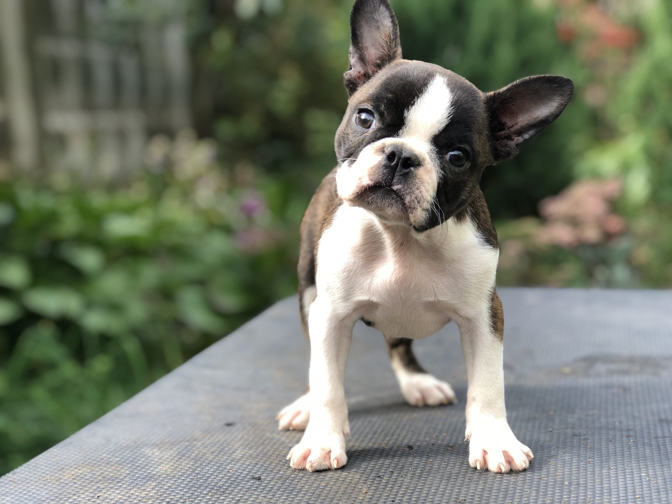 Photo_20221005022450212