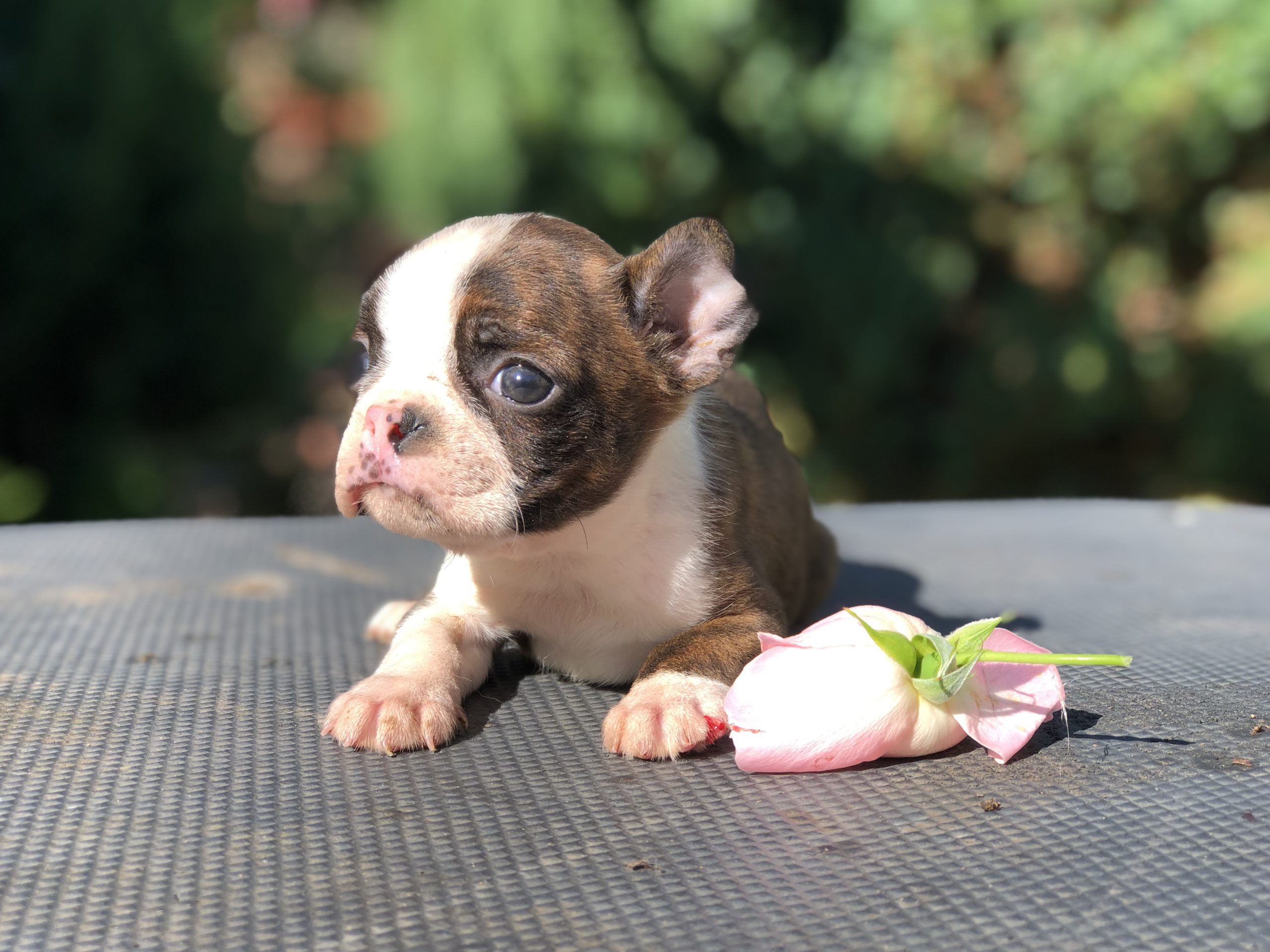 Photo_2022100908383795