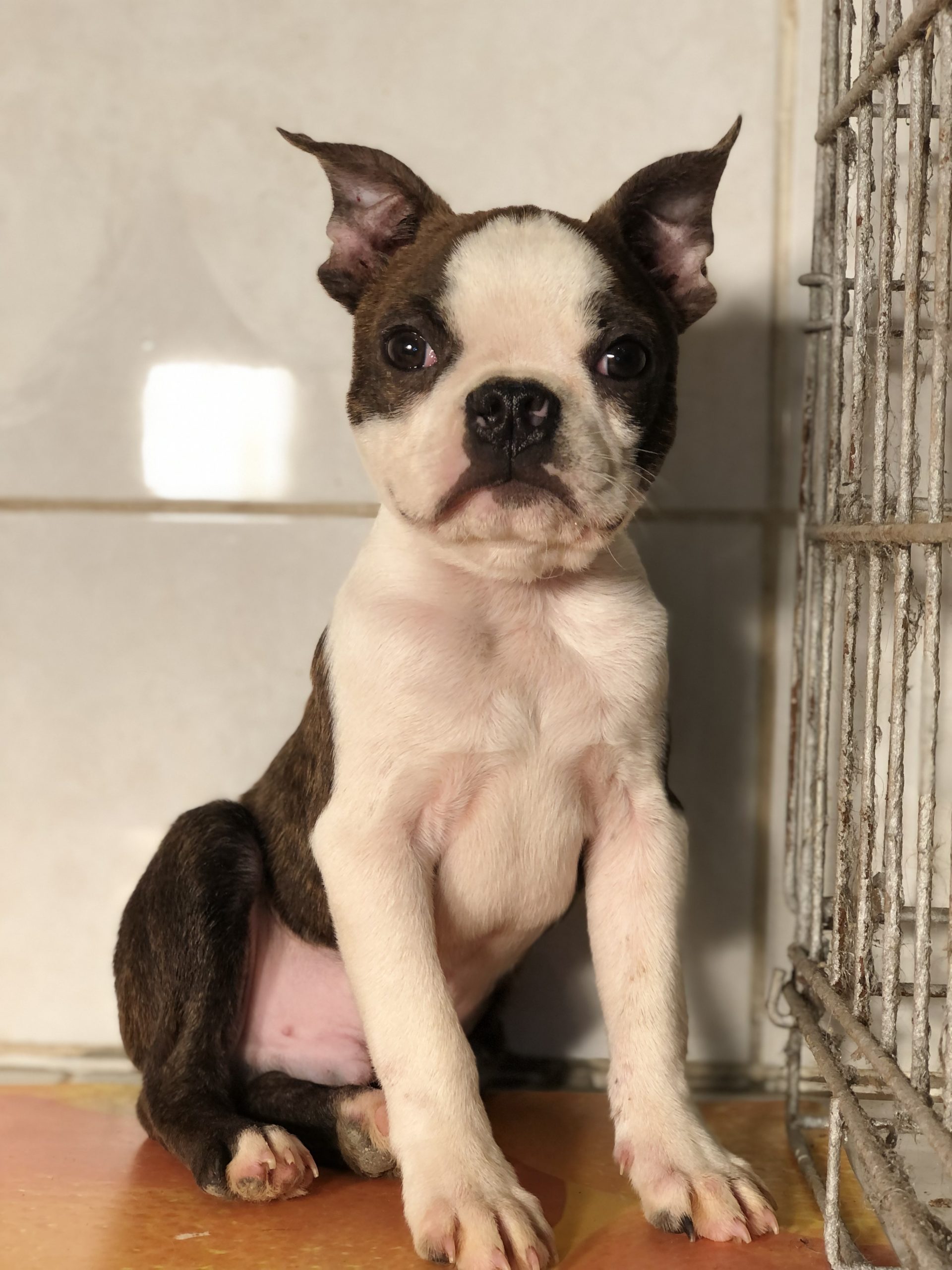 Photo_2022110901025477