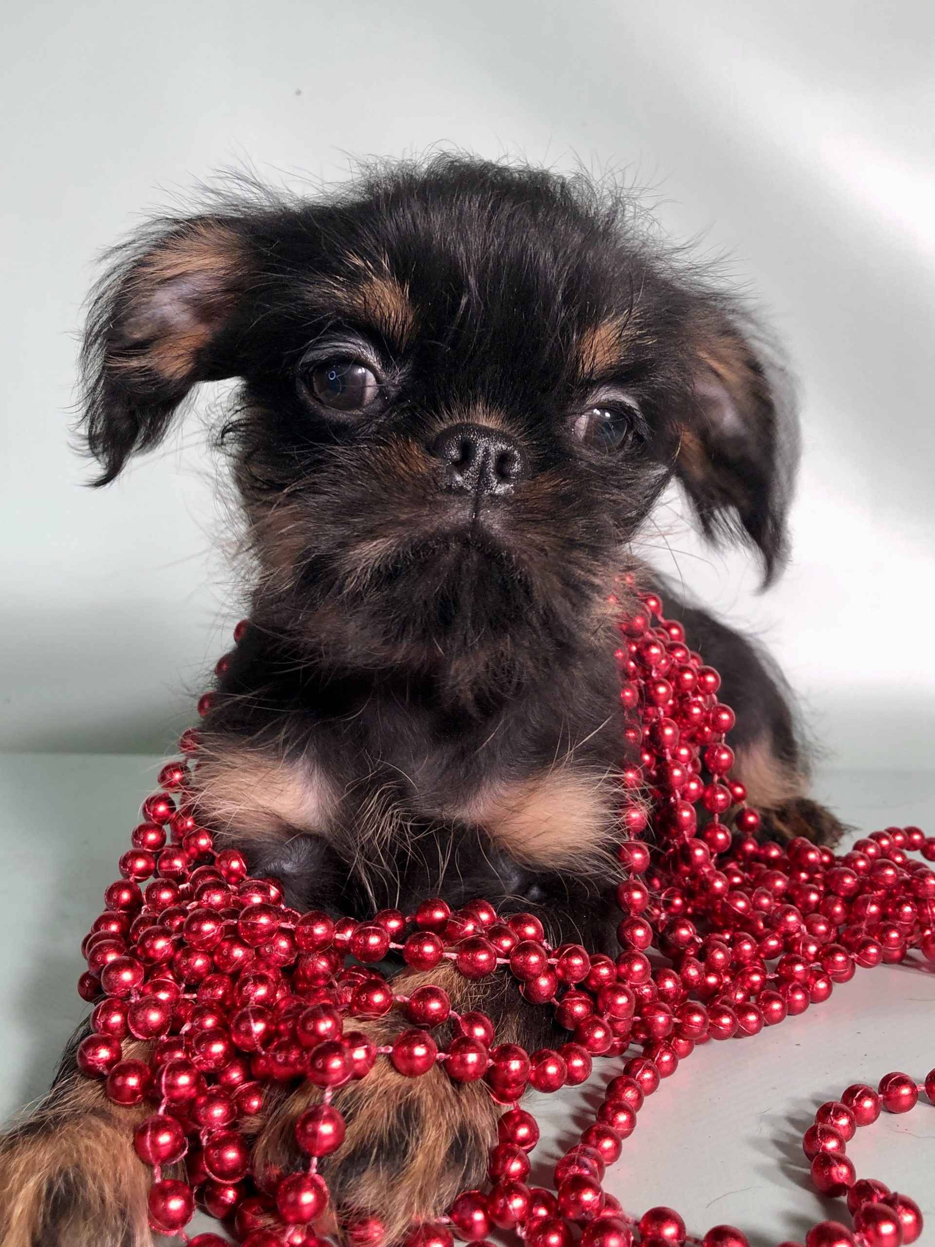 Photo_2022112502291889