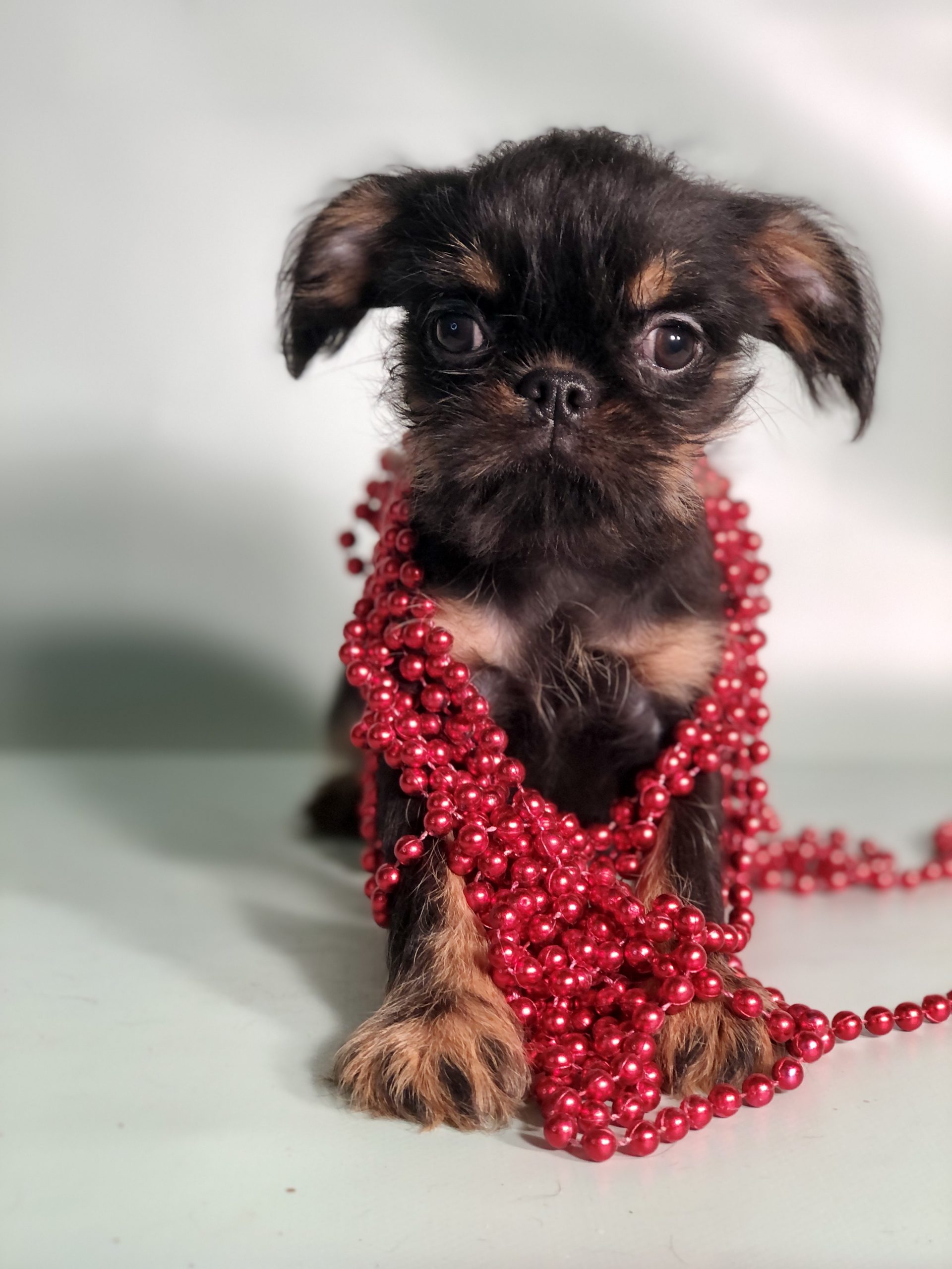 Photo_2022112502291992