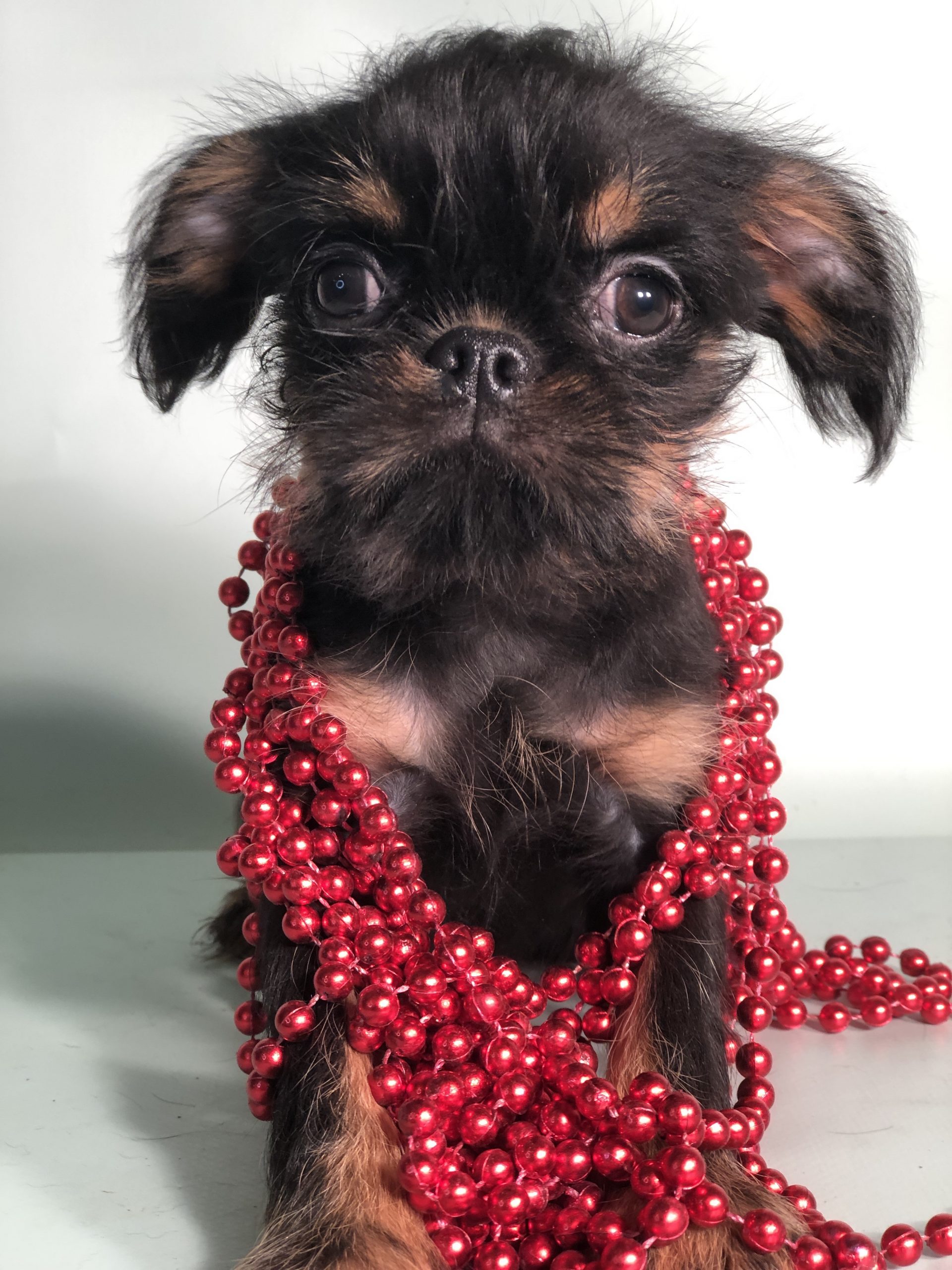 Photo_2022112502292295