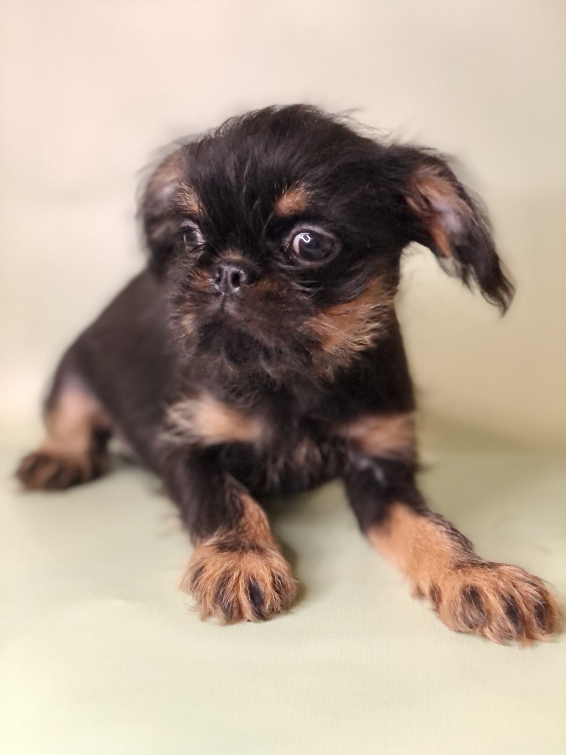 Photo_20221125022928110