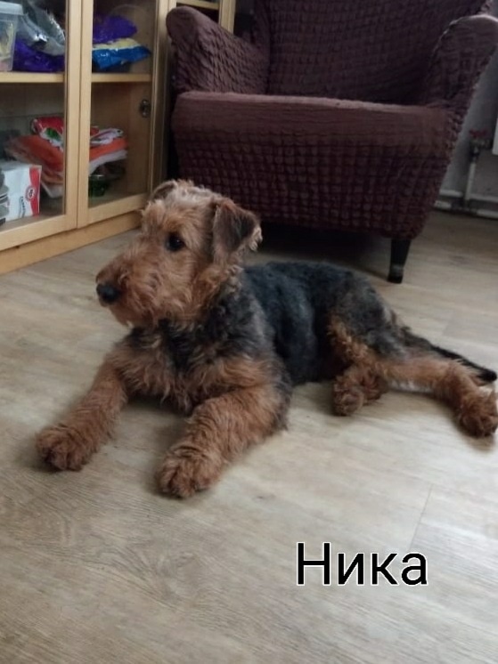 RyYcYxab8q02ejqoVHjXMQcA3_aBE-oLiLyAkiOXIMm0jRJESvx0HIIE6nOdMUueCaNoHKRq3MIsV6o79unAAwdK