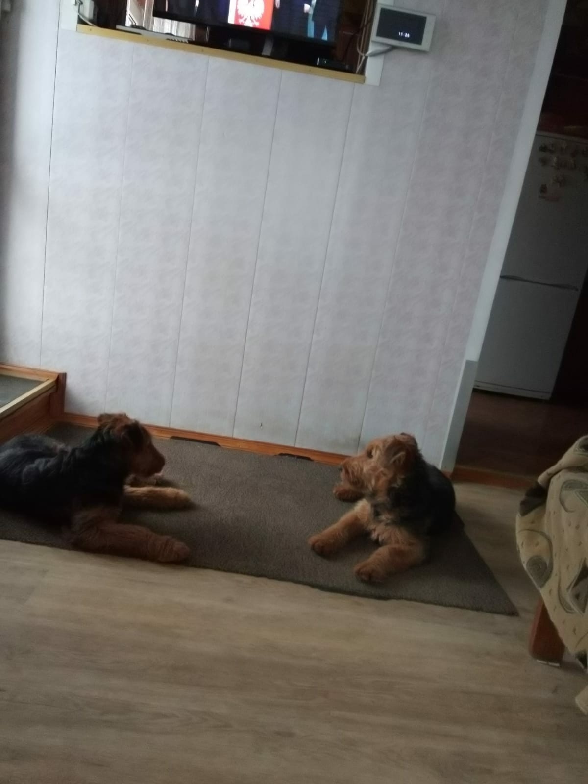 Xt1Fljs5HqW_2vtQgiJ7xPHIFDq8uMDRRqY4Aogz7P6PZBgnT0YQ3-qxtOnCr3REXcC5lkMxWhTB0Vz-JN139hpB