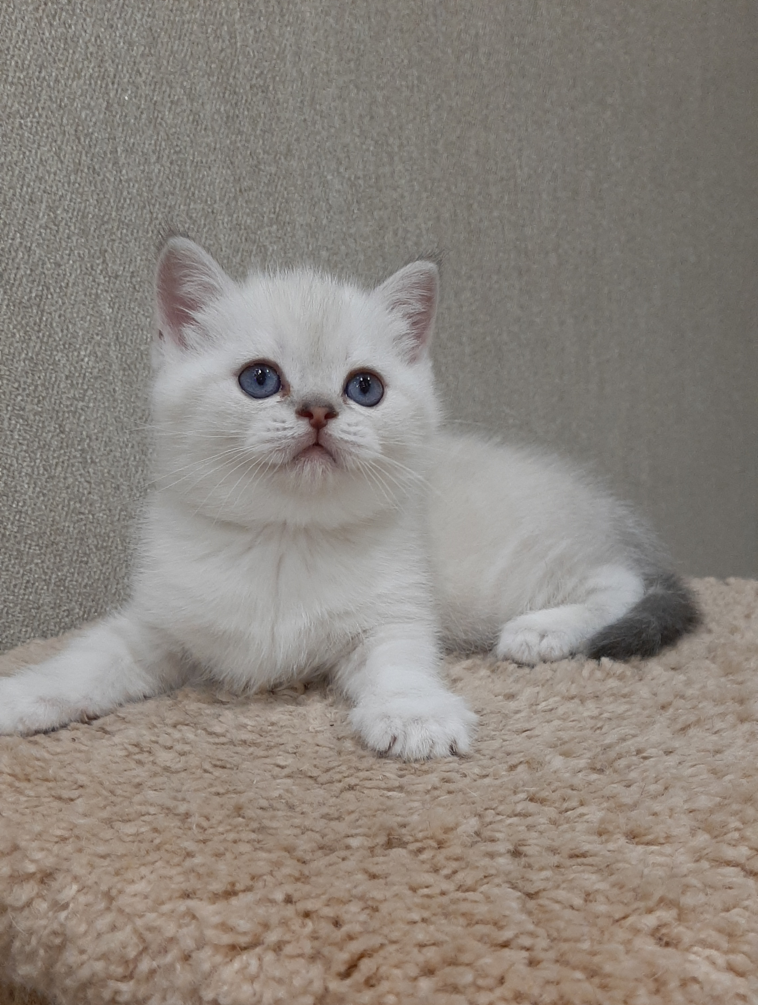 20221224_165912-—-копия-1