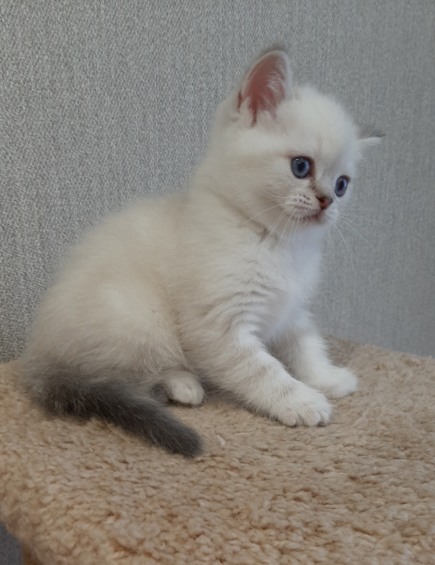 20221225_142327-—-копия-1