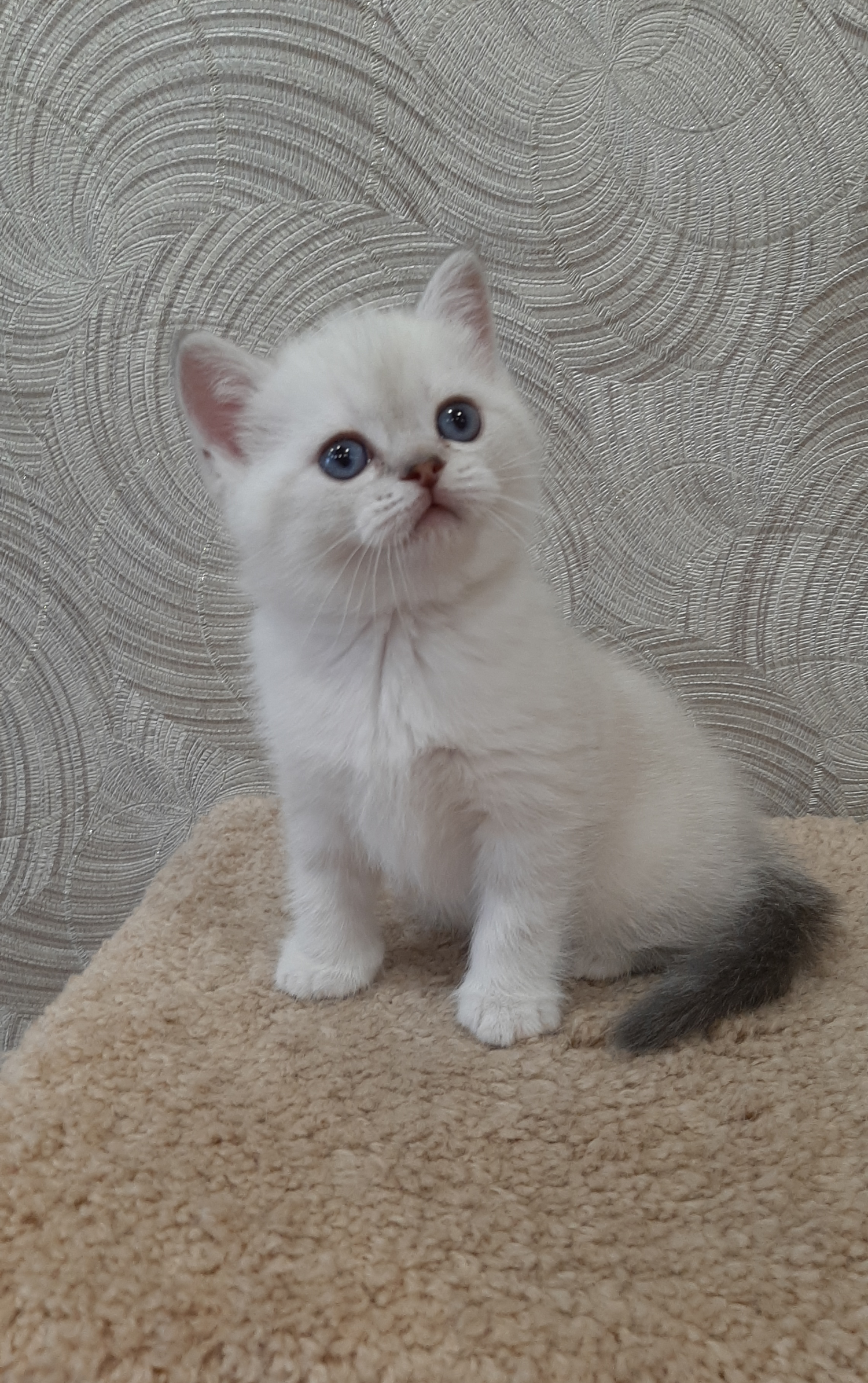 20221225_153932-—-копия-1