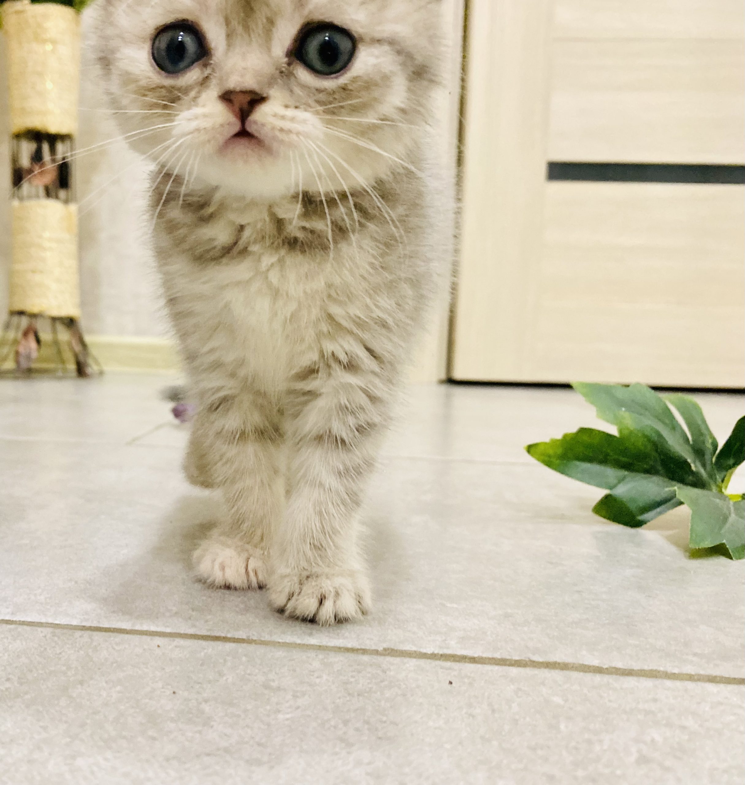 218C7173-CDC0-43EC-92BF-2A40582677CA